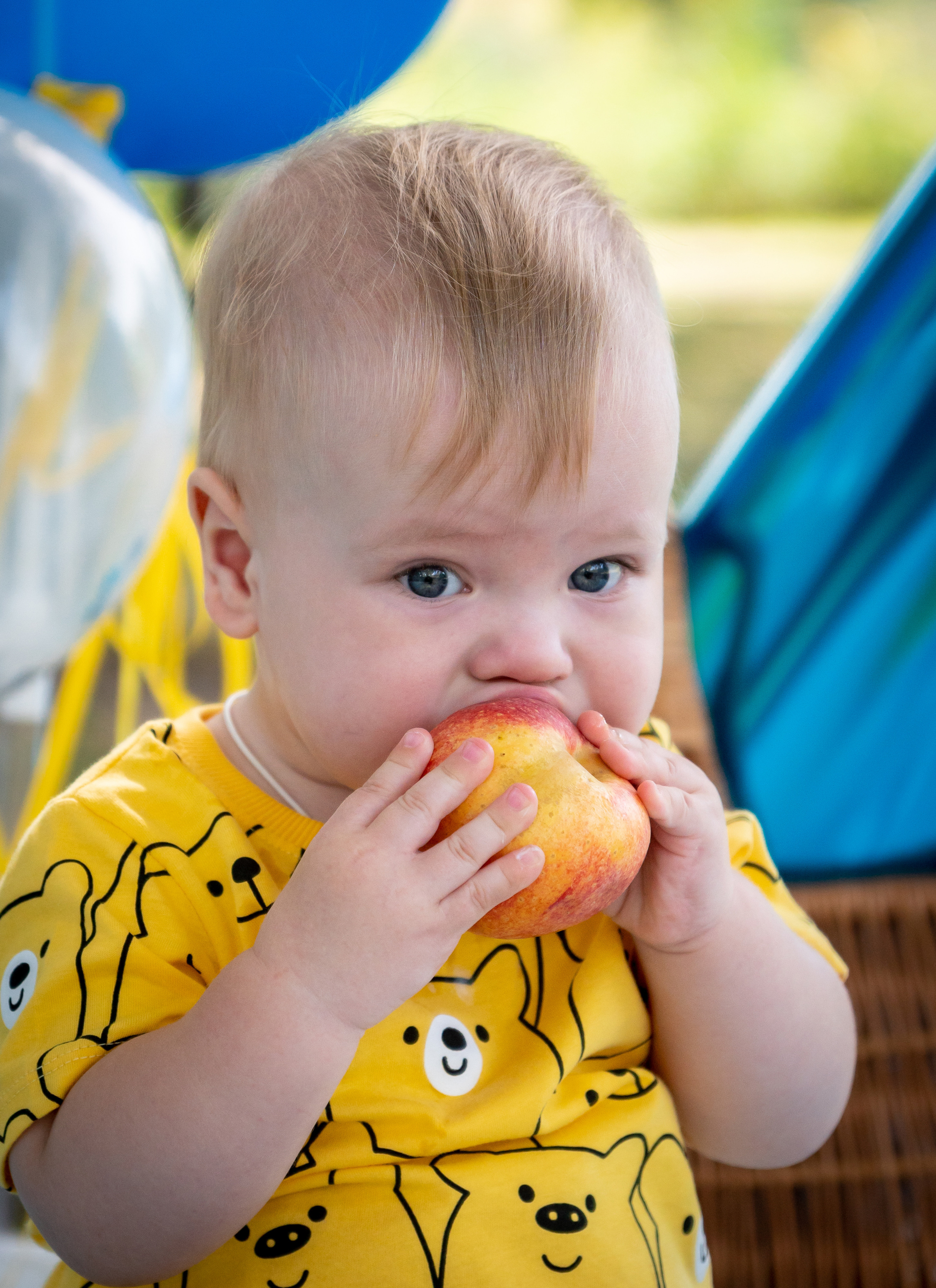 Годовасие. Фотограф в Краснодаре и Краснодарском крае Елена Быкова