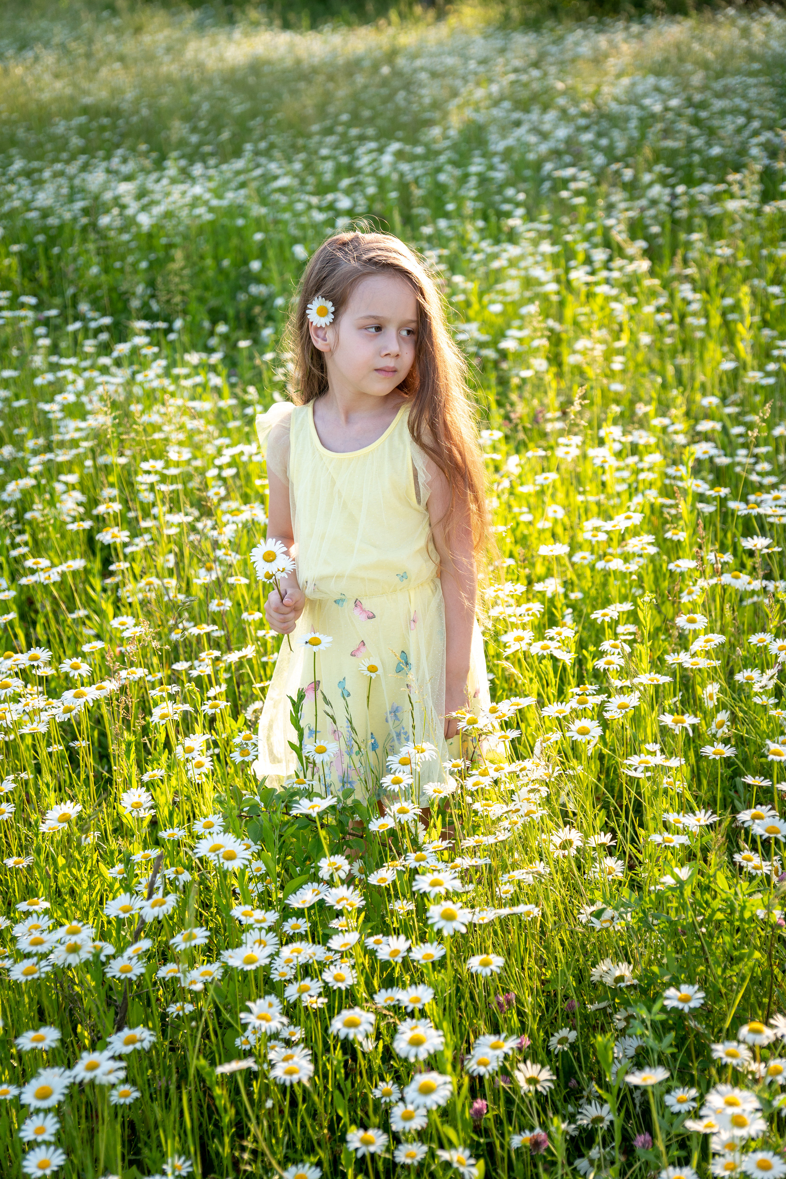 В ромашковом поле. Фотограф в Краснодаре и Краснодарском крае Елена Быкова