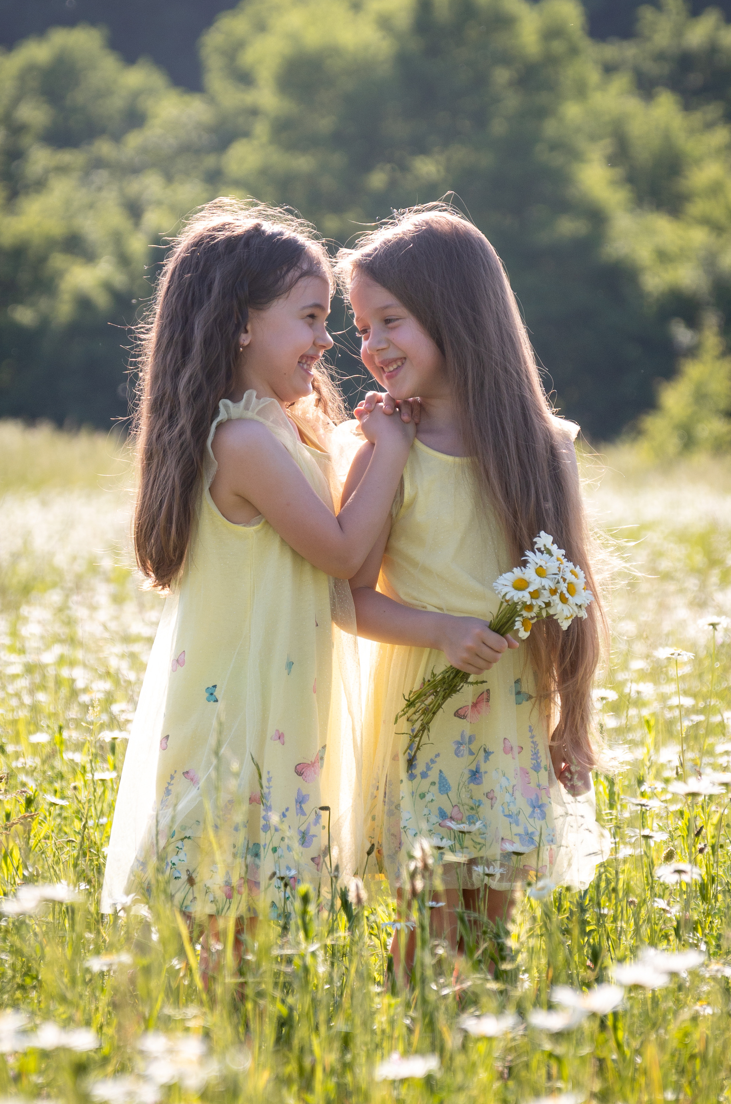 В ромашковом поле. Фотограф в Краснодаре и Краснодарском крае Елена Быкова