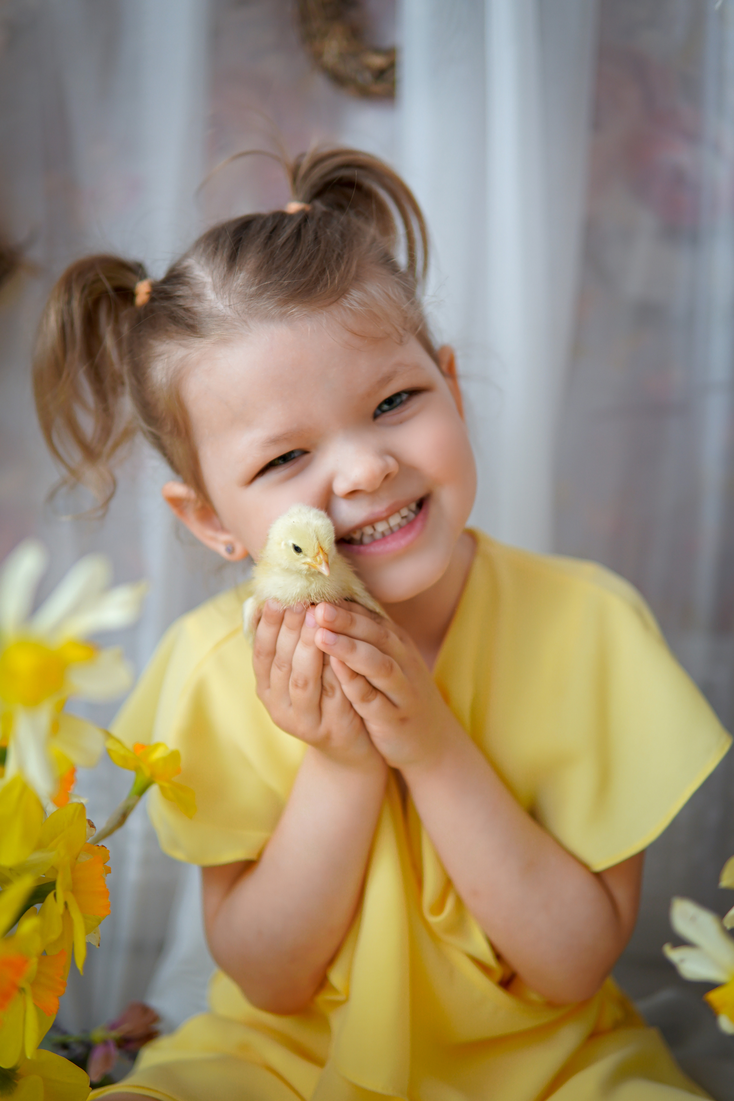 Цыплята. Фотограф в Краснодаре и Краснодарском крае Елена Быкова