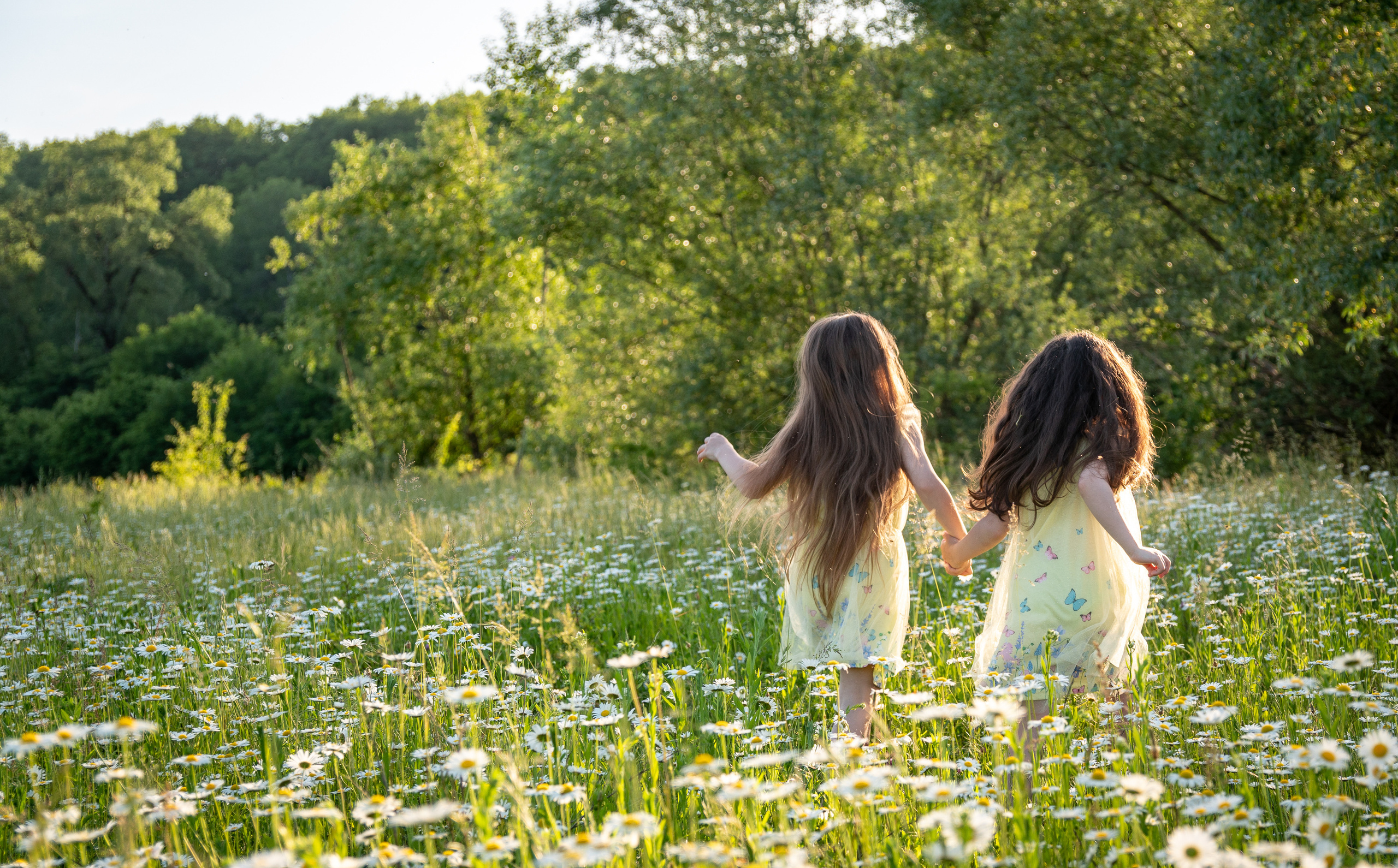 В ромашковом поле. Фотограф в Краснодаре и Краснодарском крае Елена Быкова
