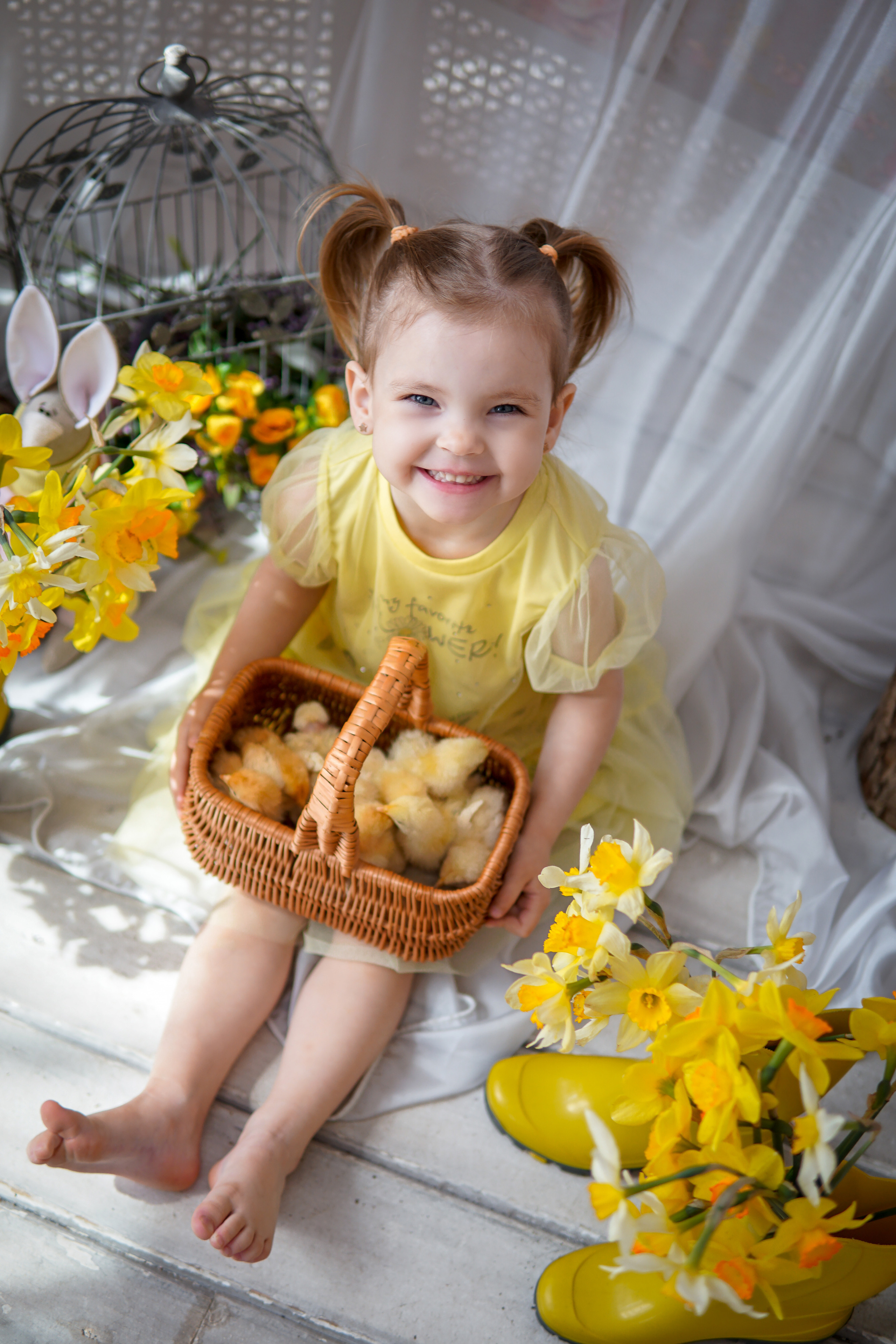 Цыплята. Фотограф в Краснодаре и Краснодарском крае Елена Быкова