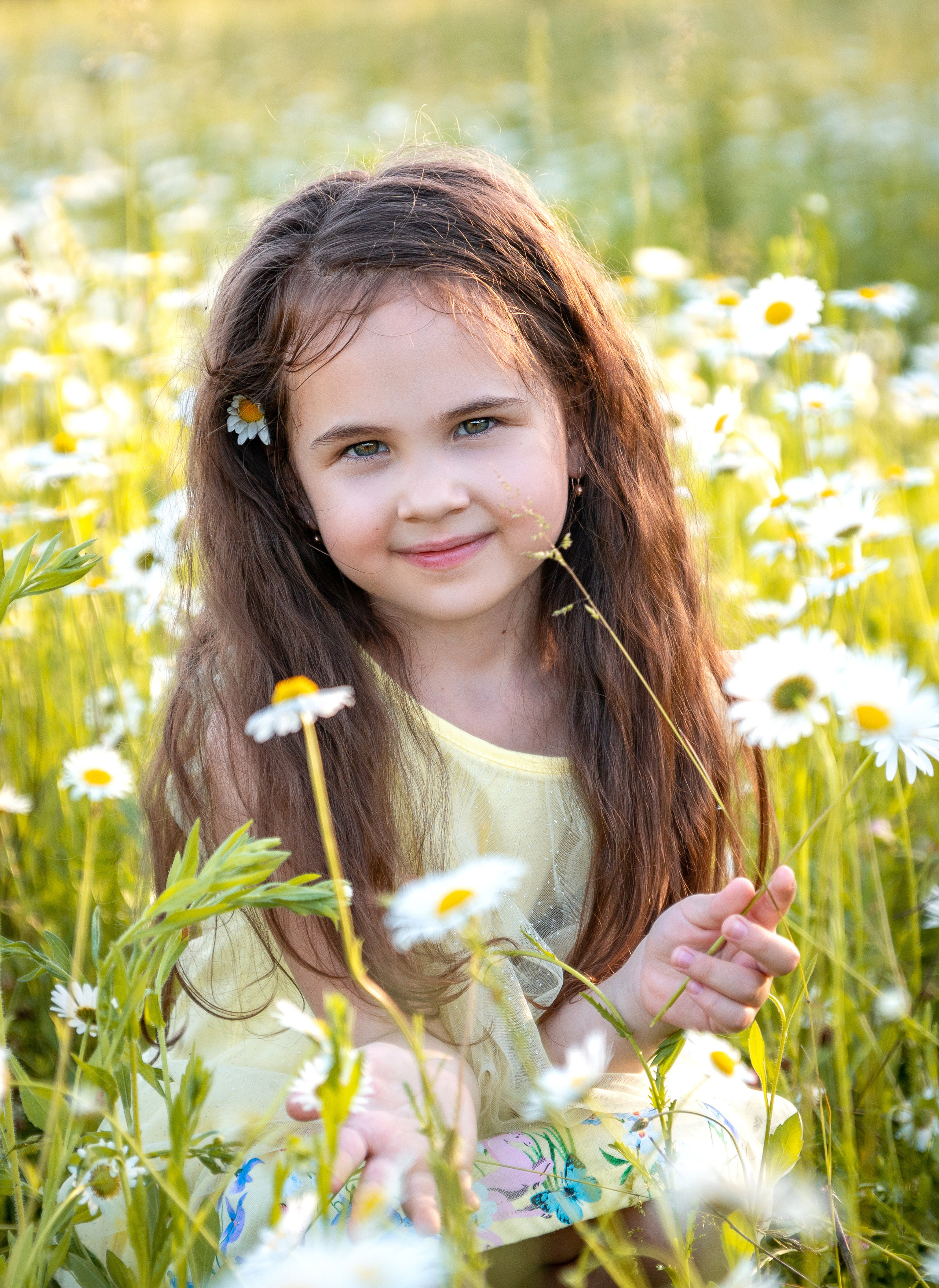 В ромашковом поле. Фотограф в Краснодаре и Краснодарском крае Елена Быкова