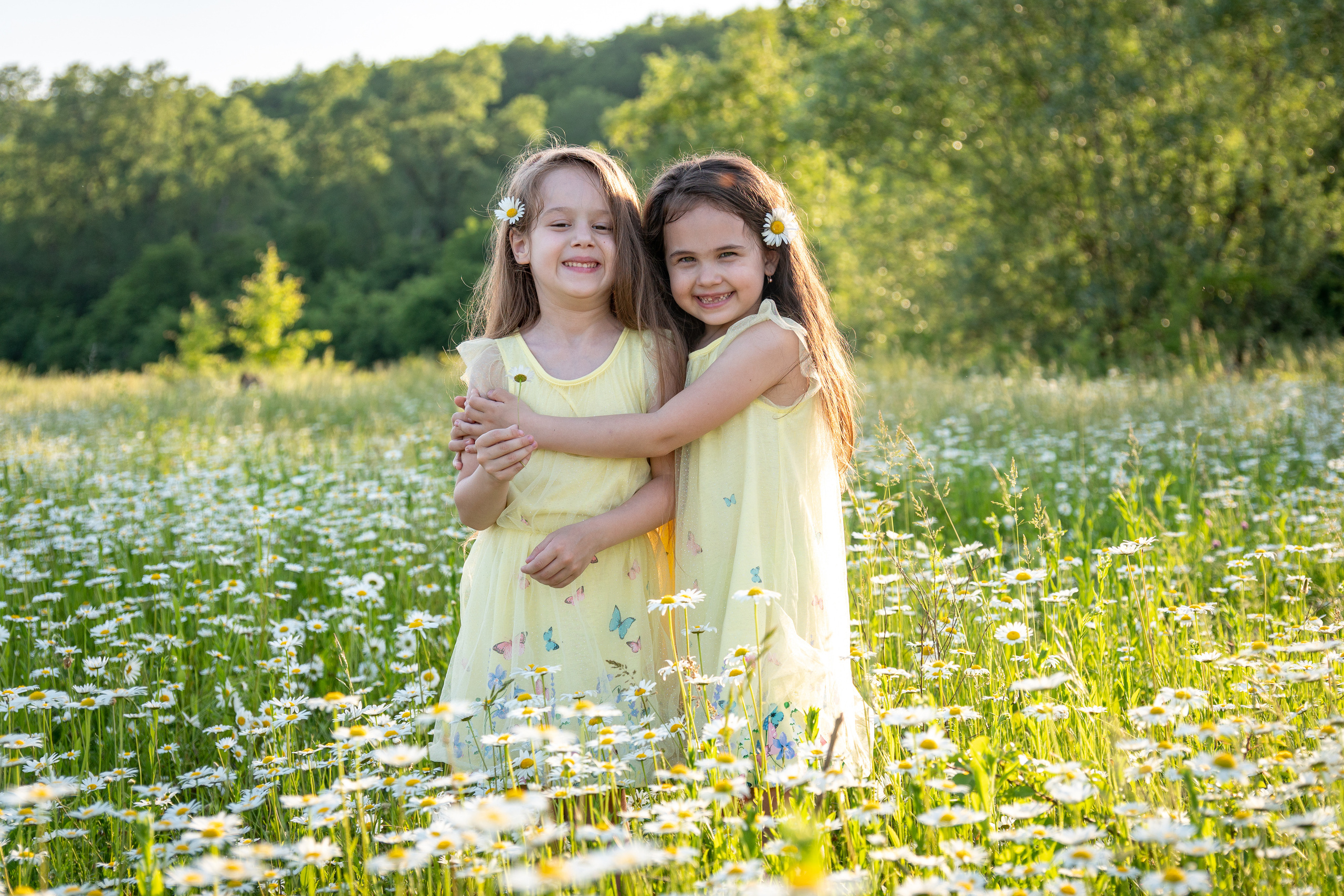 В ромашковом поле. Фотограф в Краснодаре и Краснодарском крае Елена Быкова