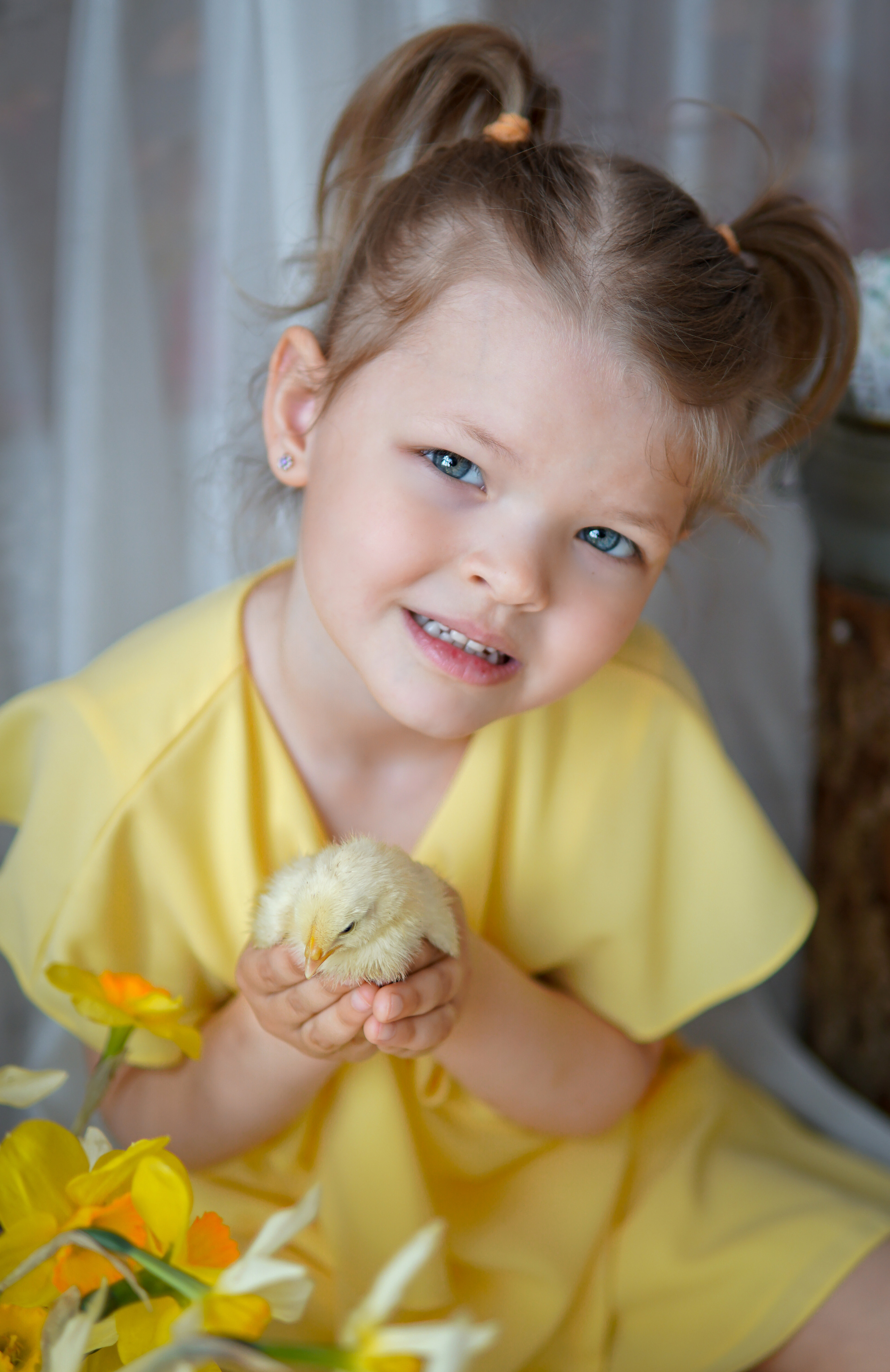 Цыплята. Фотограф в Краснодаре и Краснодарском крае Елена Быкова