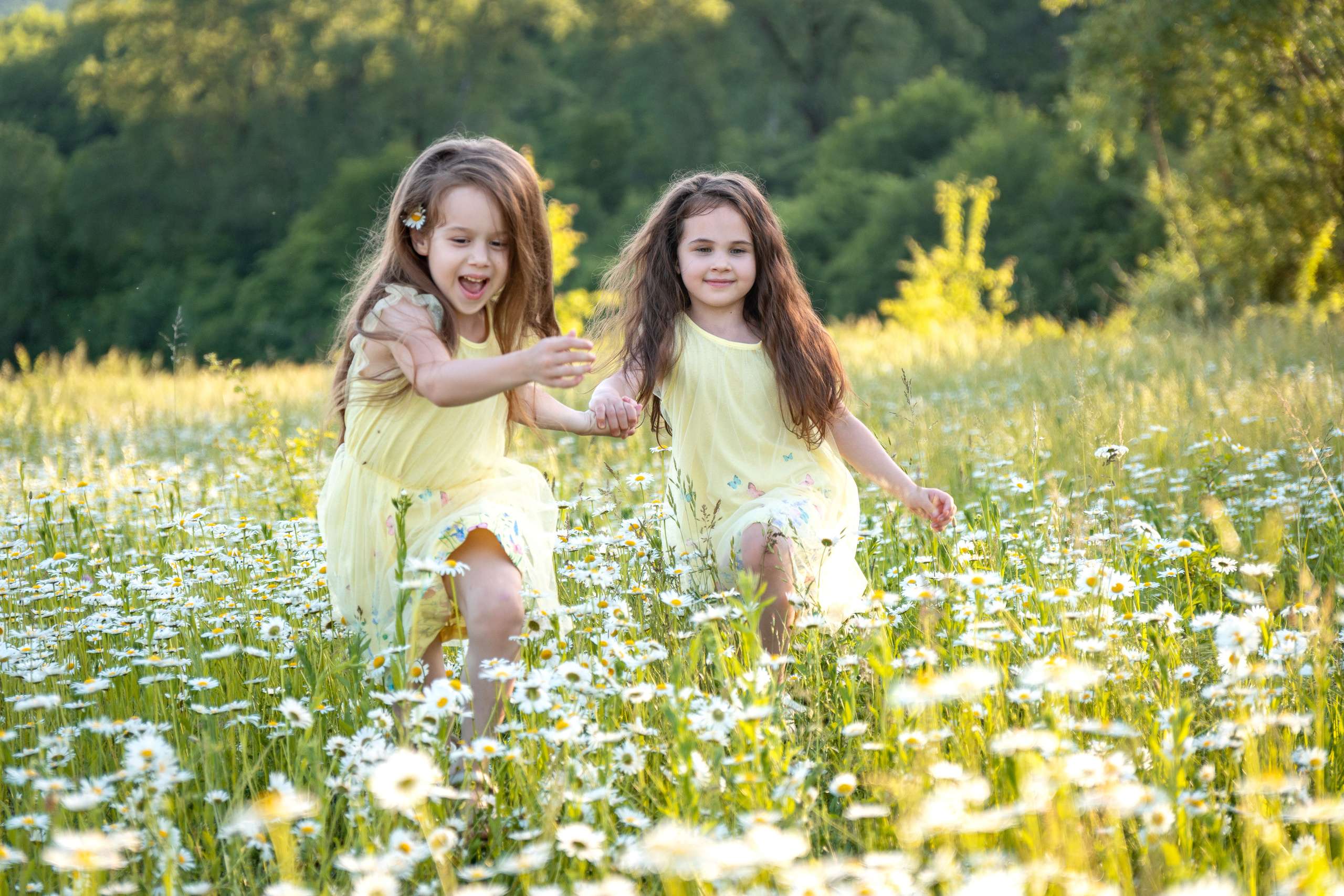 В ромашковом поле. Фотограф в Краснодаре и Краснодарском крае Елена Быкова