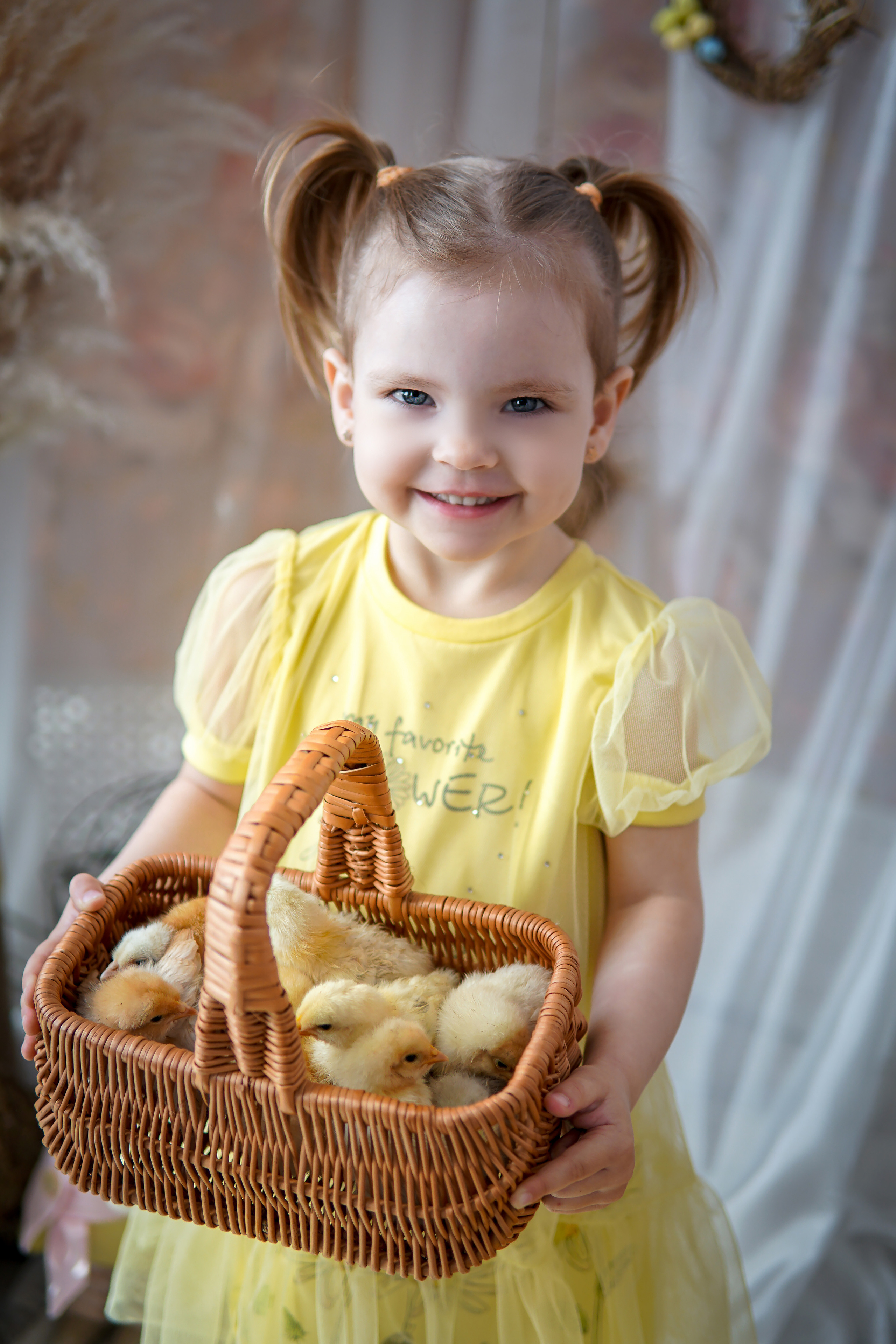 Цыплята. Фотограф в Краснодаре и Краснодарском крае Елена Быкова