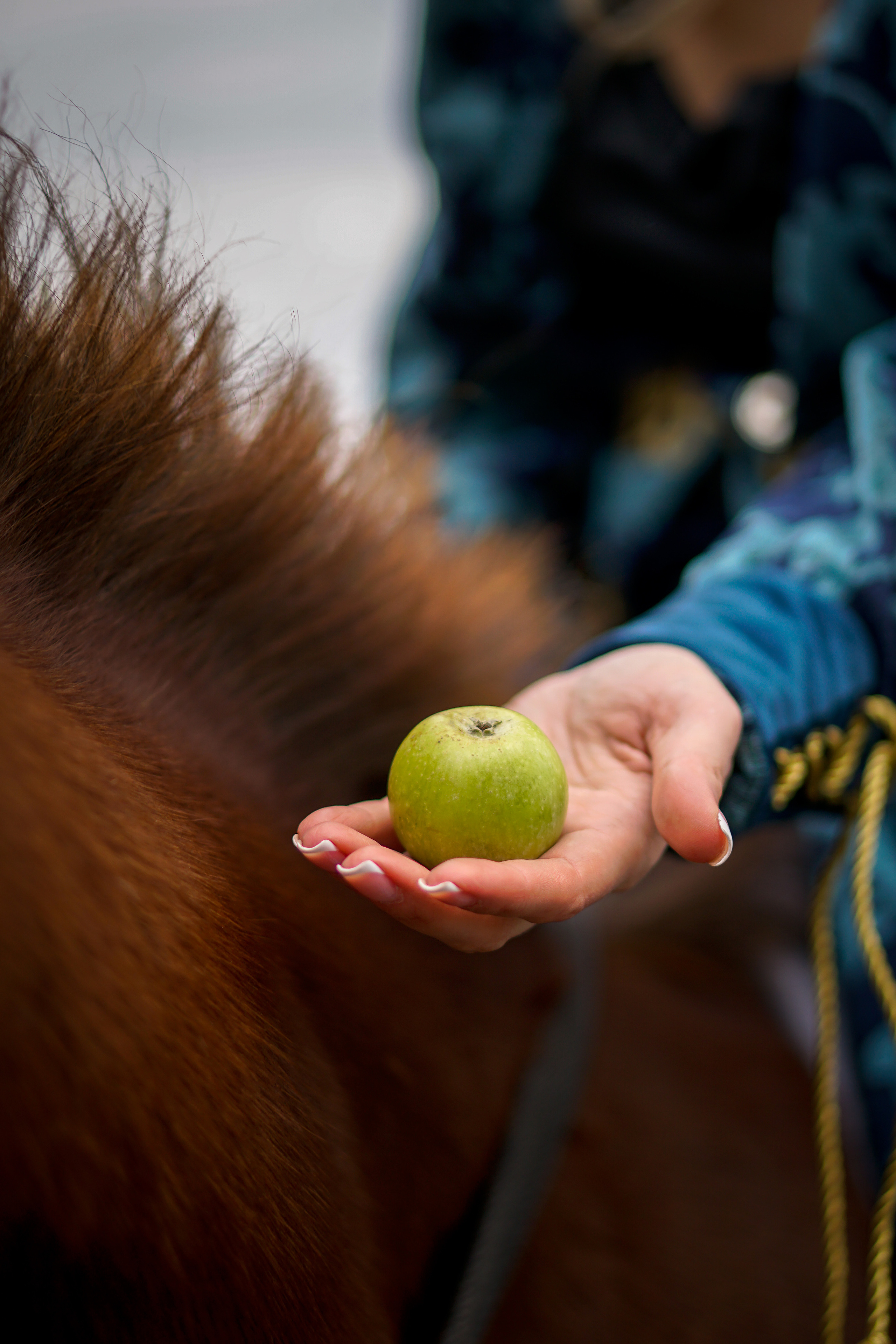 На конюшне. Фотограф в Краснодаре и Краснодарском крае Елена Быкова