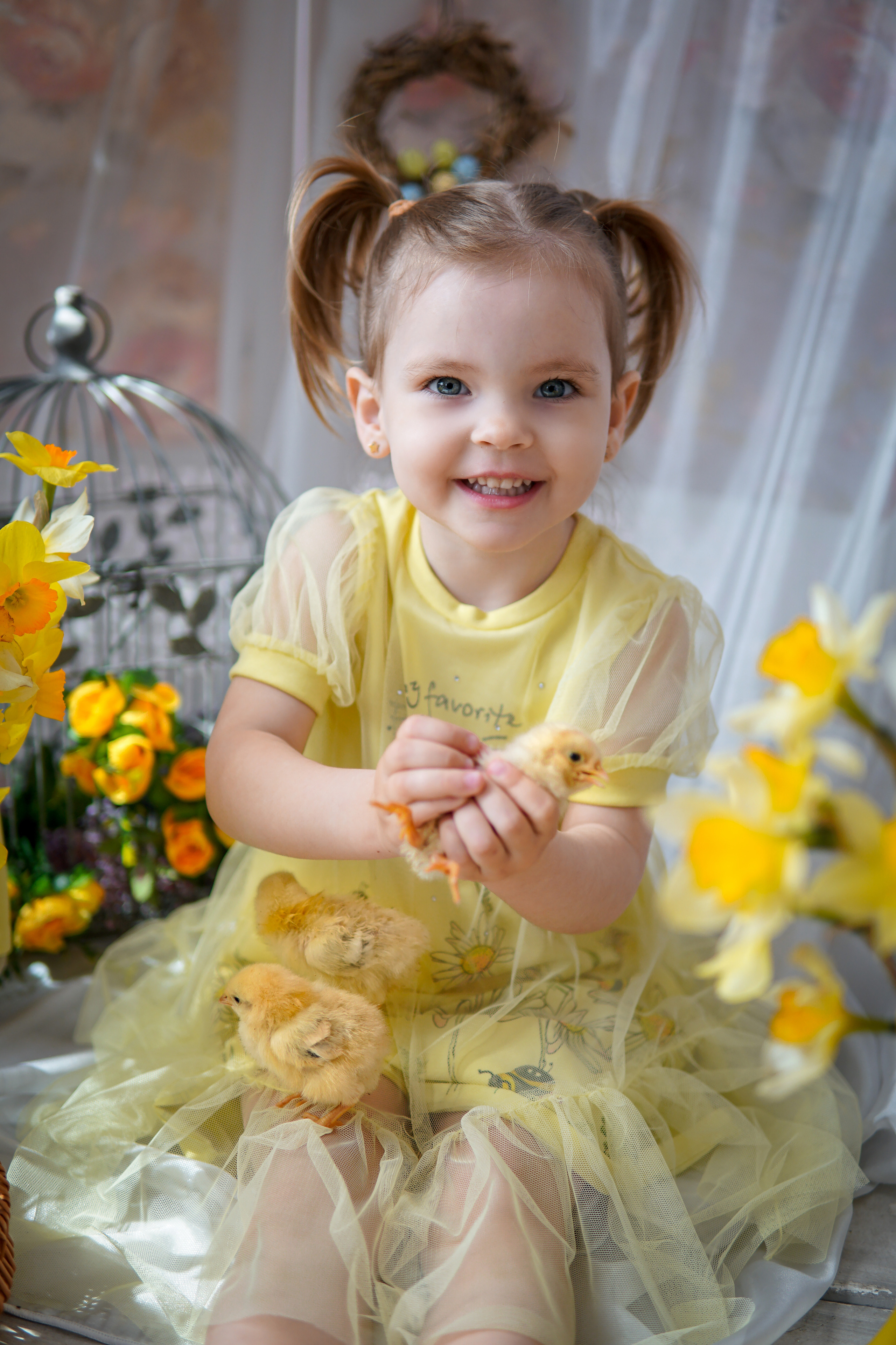 Цыплята. Фотограф в Краснодаре и Краснодарском крае Елена Быкова