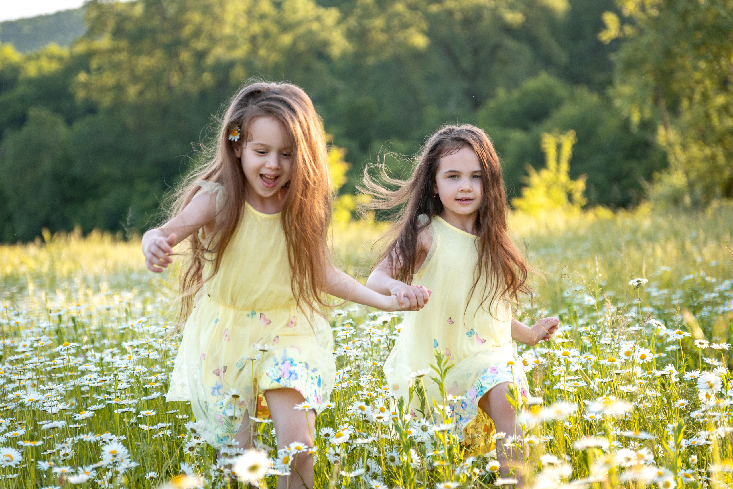 В ромашковом поле. Фотограф в Краснодаре и Краснодарском крае Елена Быкова
