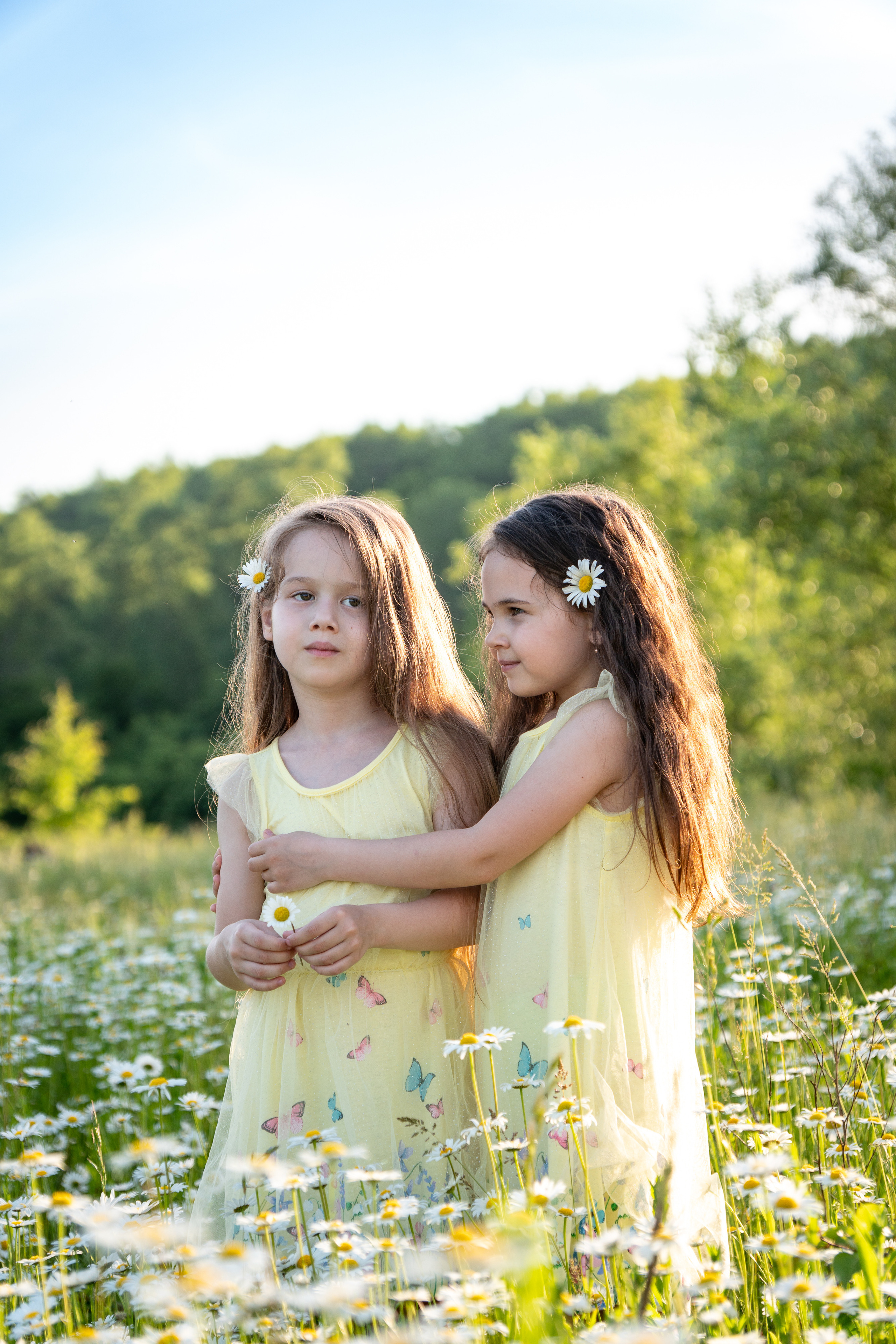 В ромашковом поле. Фотограф в Краснодаре и Краснодарском крае Елена Быкова