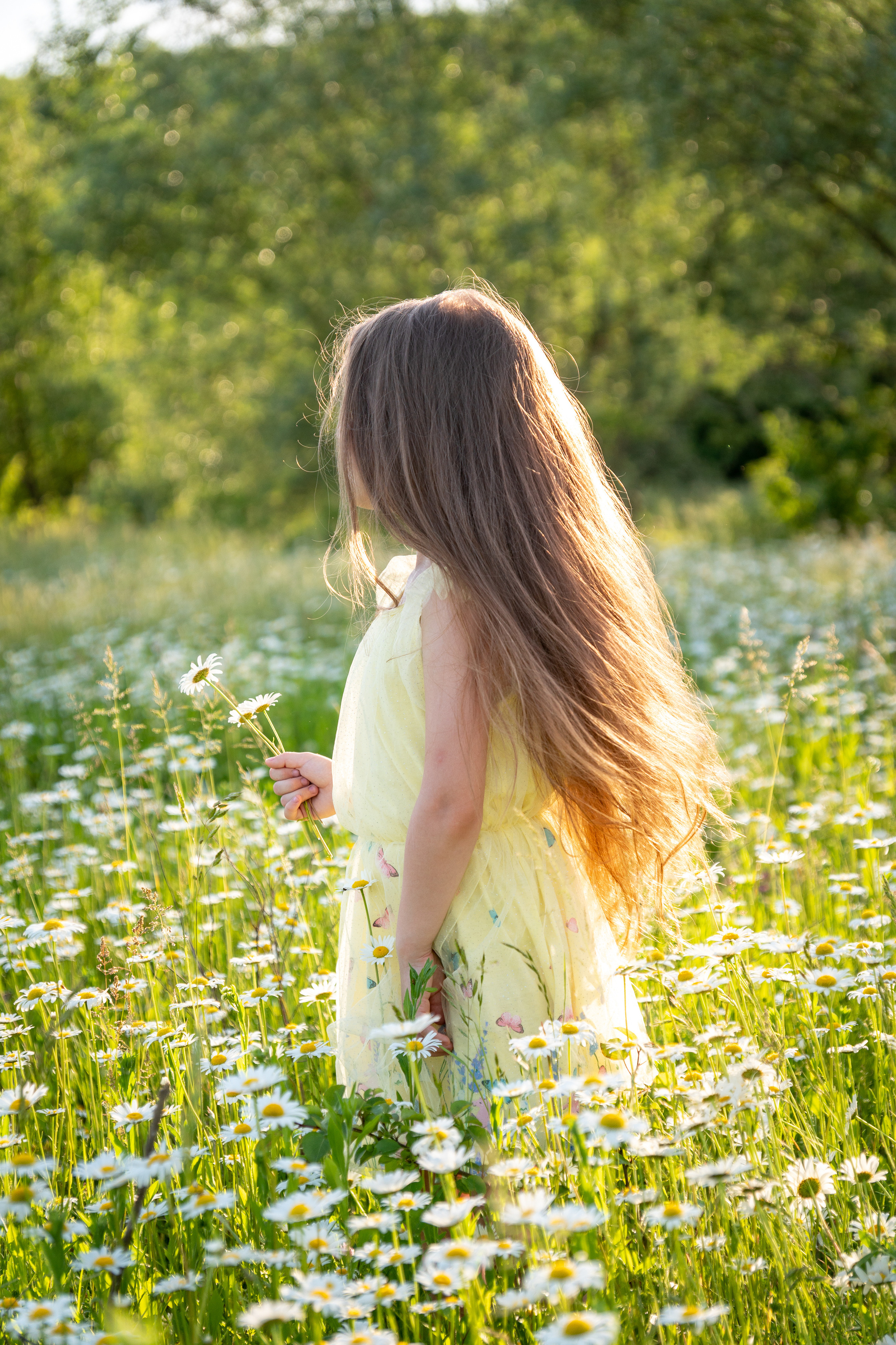 В ромашковом поле. Фотограф в Краснодаре и Краснодарском крае Елена Быкова