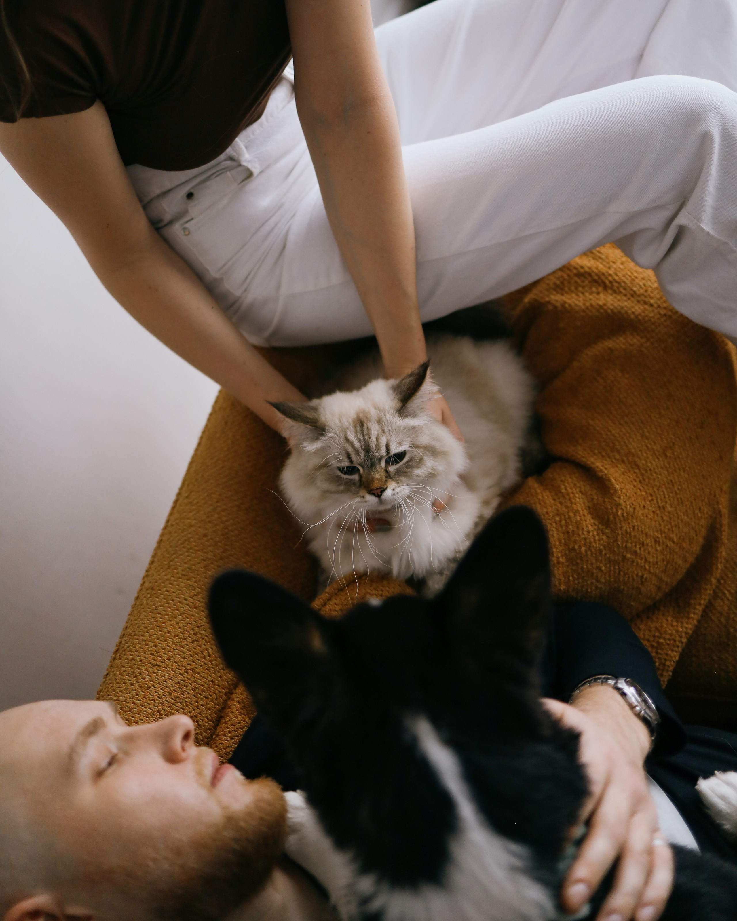 ПОРТРЕТНАЯ ФОТОСЕССИЯ. Портретный фотограф в Москве. Фотосессии с собаками