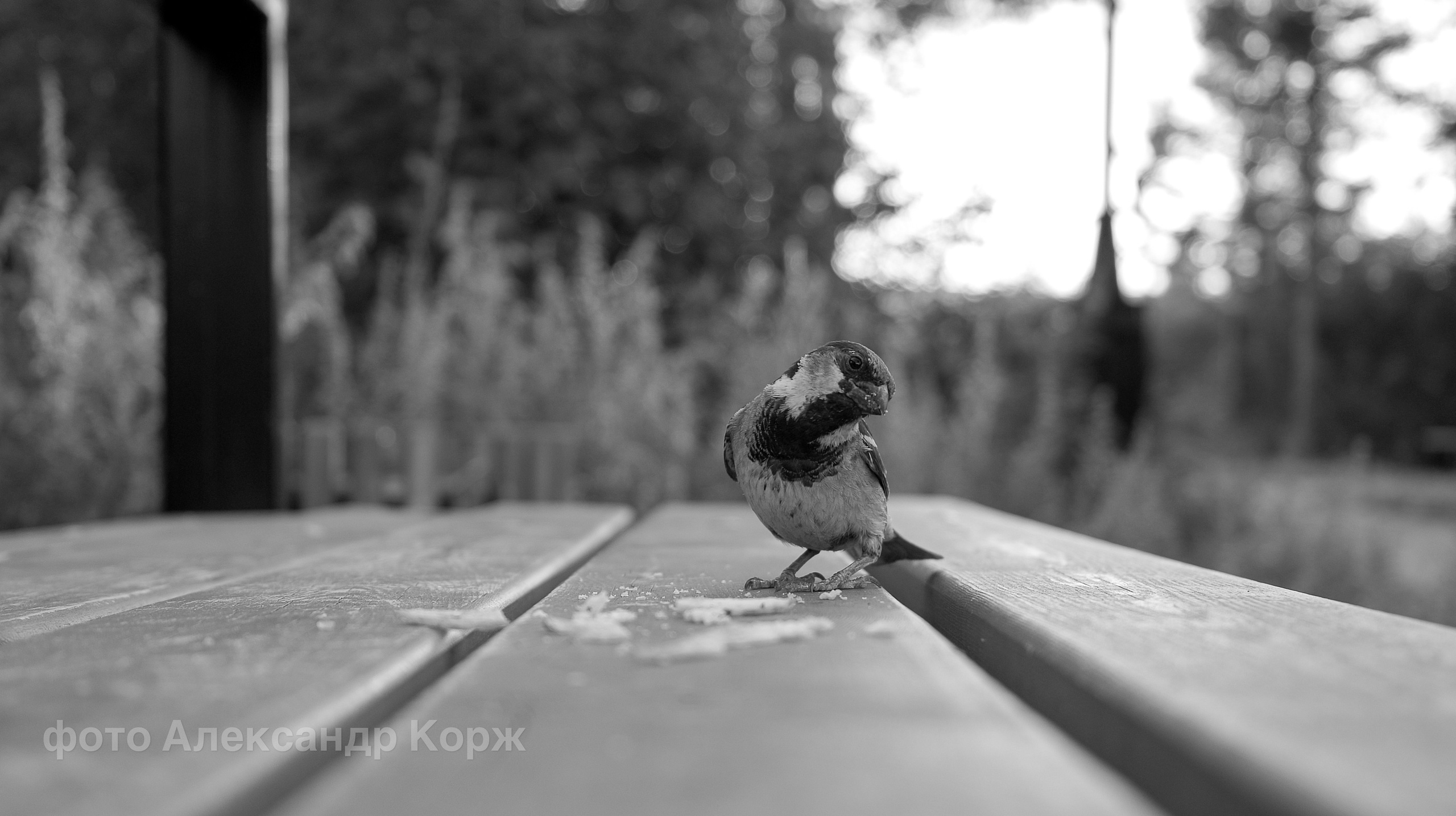 Фотографии Северного поселка Айхал. Фотографии и видеосъемка, Айхал, Удачный, Якутия. Фотографии Айхал