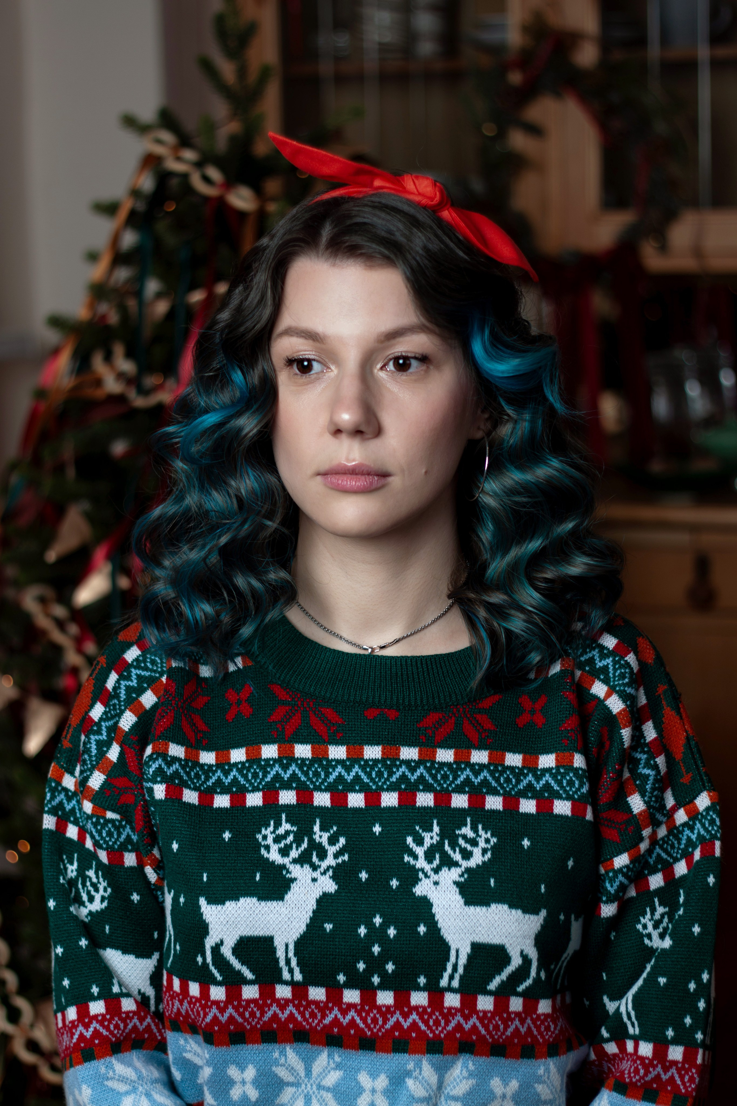 Новогодние собаки. Фотограф в Санкт-Петербурге Рейдер Дарья