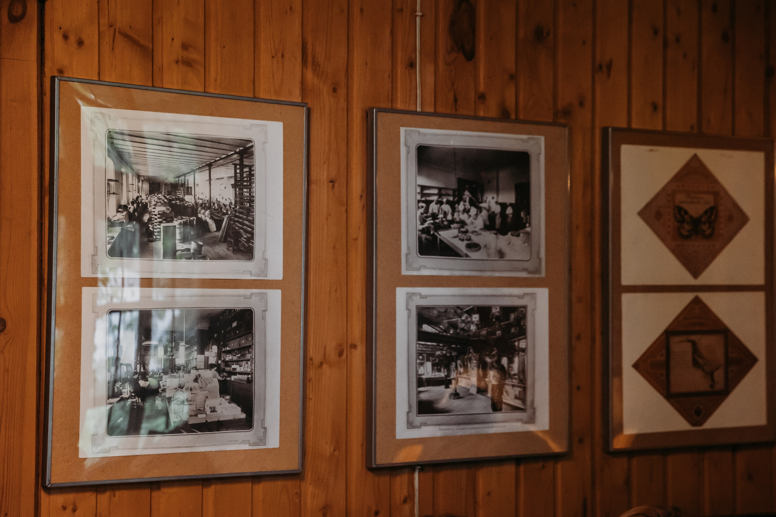 Родные люди «На дачу к Дмитрию Абрикосову». Леся Гаранина. Семейный фотограф/видеограф Москва и область