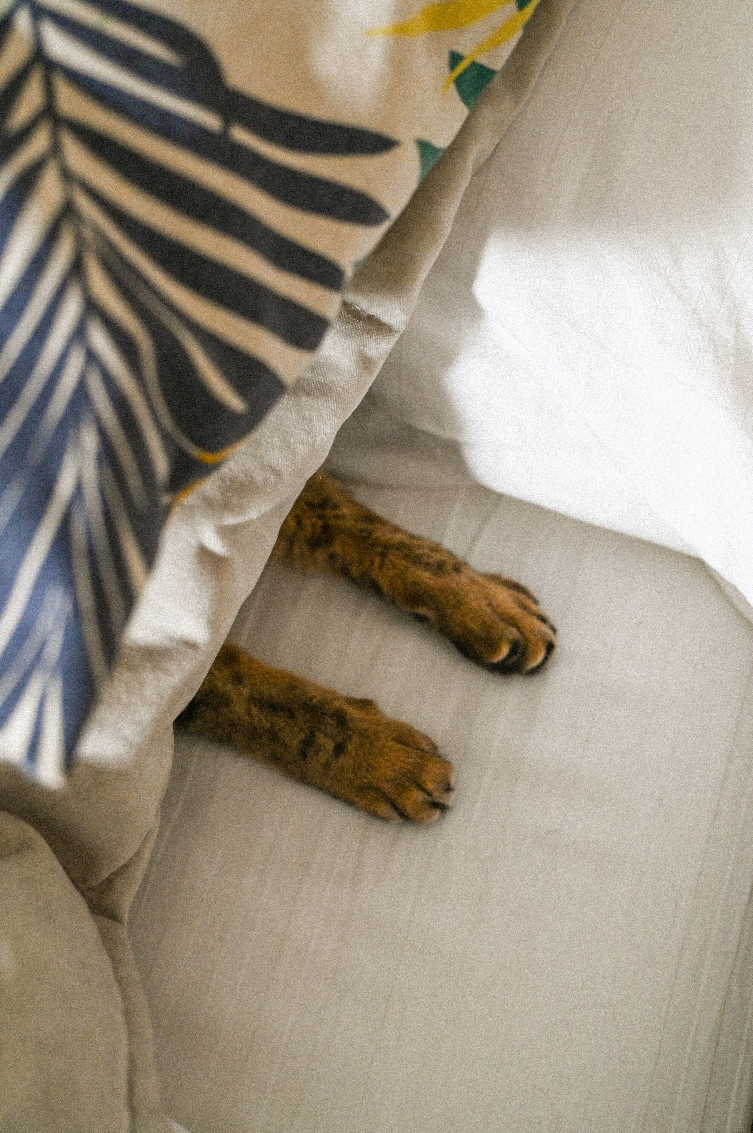 Стрит фото Москва. Фотограф Лобанов Антон, г. Москва