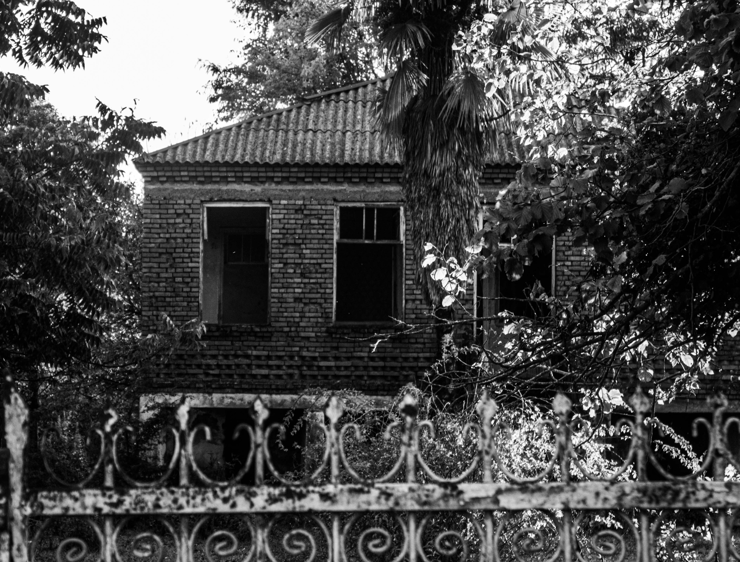 Абхазия. Documentary photographer