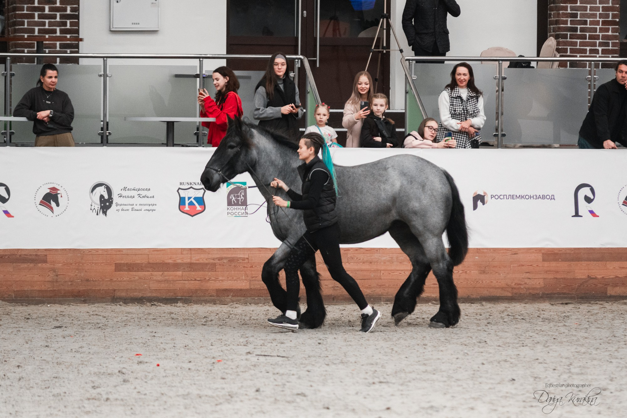 8-я международная выставка Конная Россия. Конный фотограф Куракина Дарья • Фотосессии с лошадьми