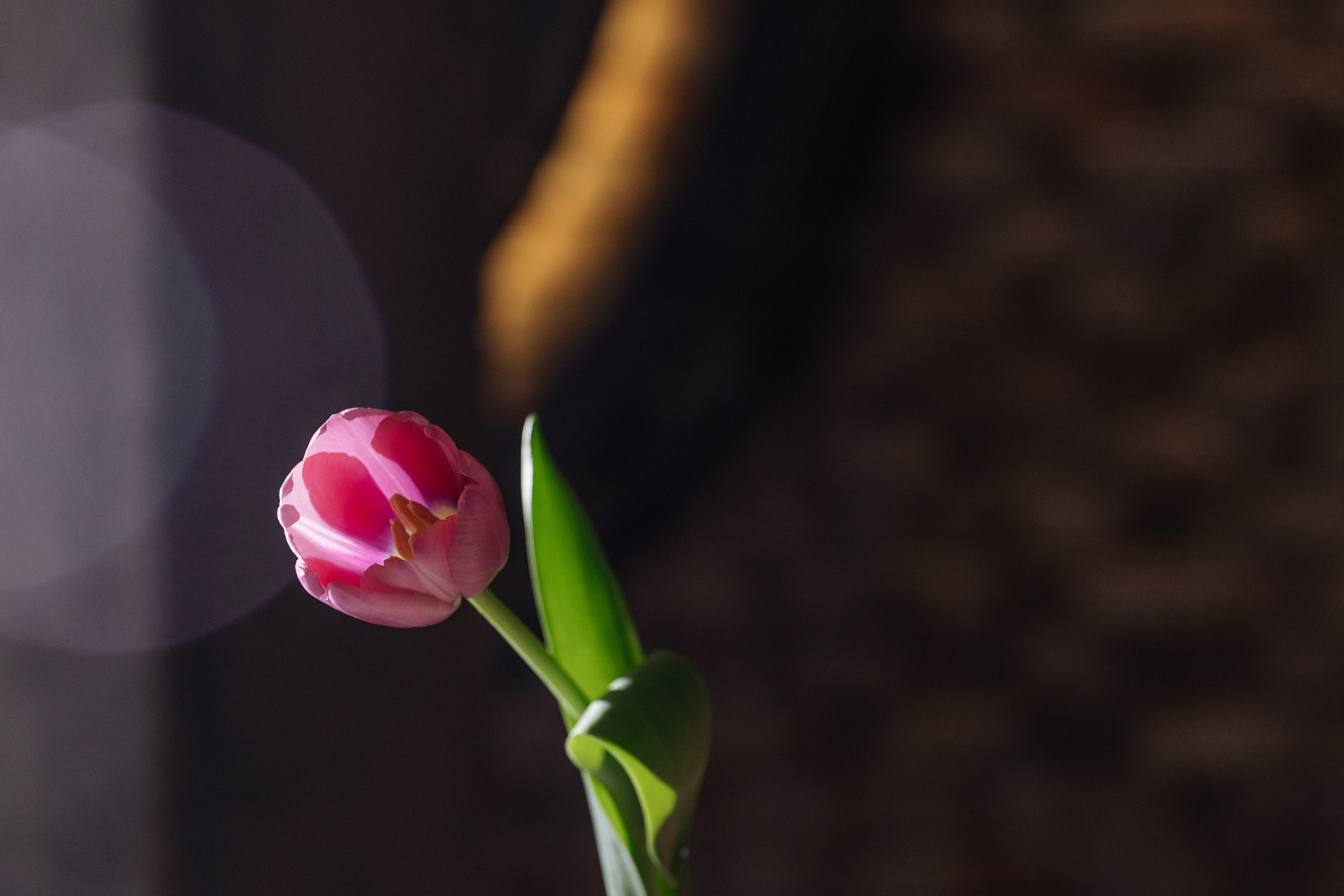 Рига-Москва малый зал. Фотограф Семён Гнеушев