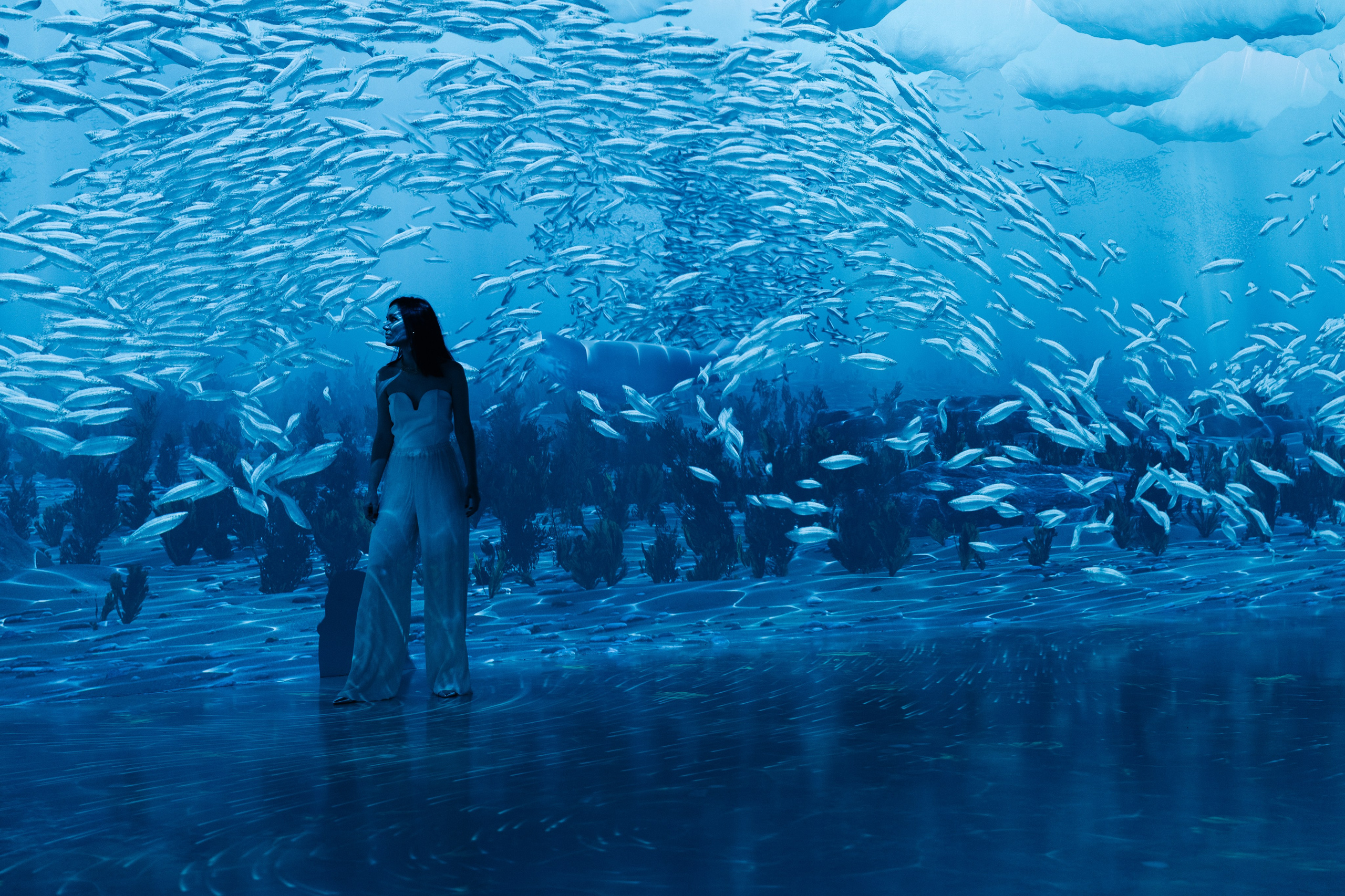 VI Ocean, Tutankhamun, SILA SVETA. @tomrus: Рустам Шагиморданов — фотограф