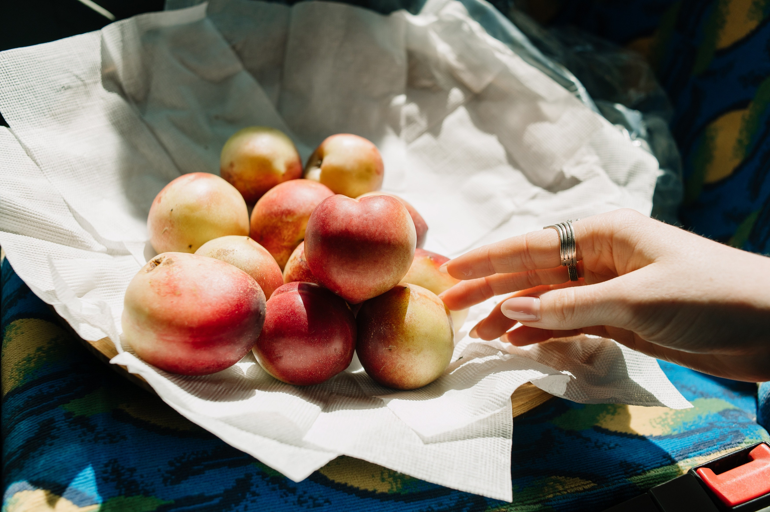 Киргизия. Репортажный фотограф в Москве и по всему миру Степанова Юлия
