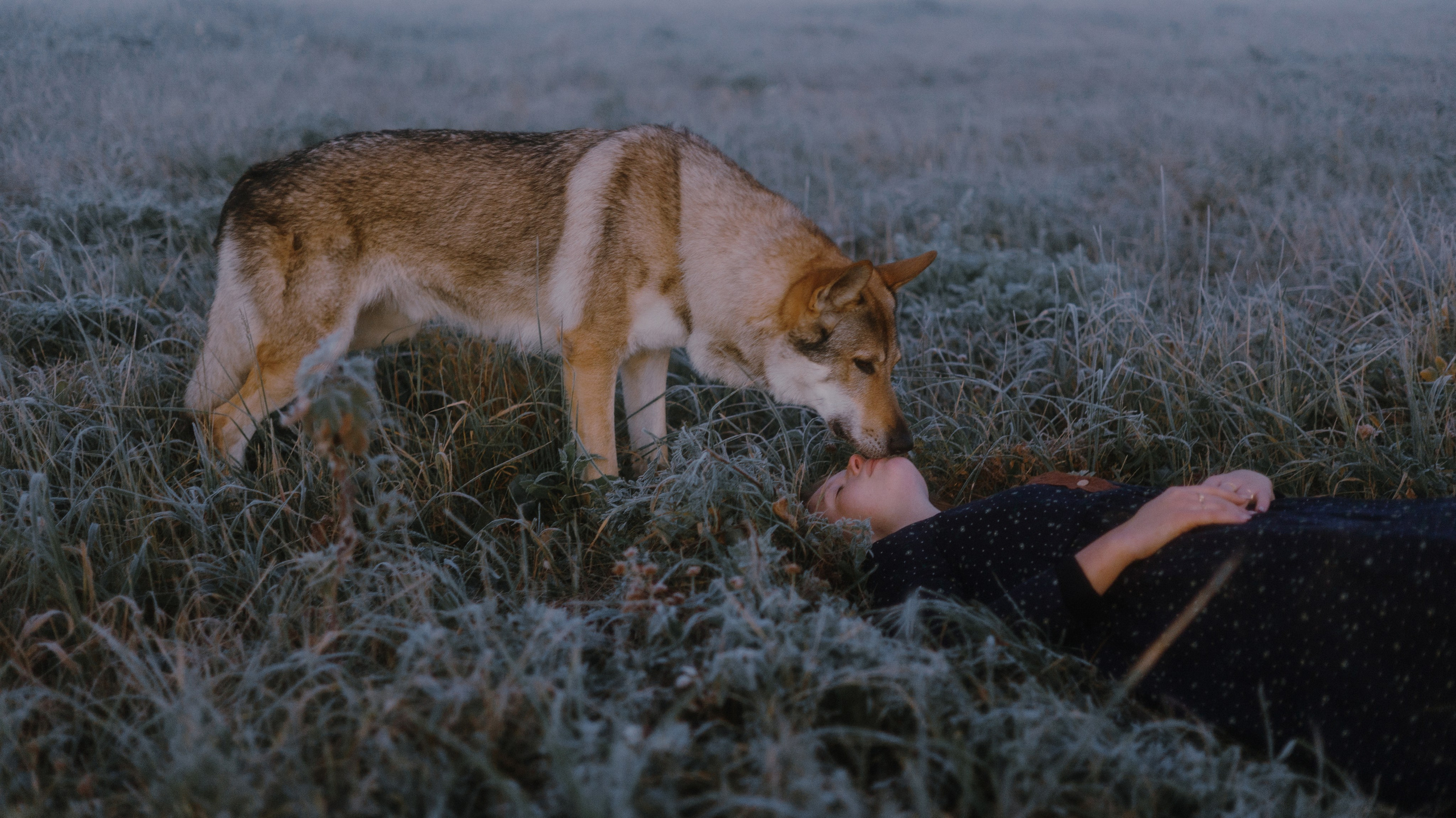 Полина и Вегард. Фотограф-анималист Богданова Полина