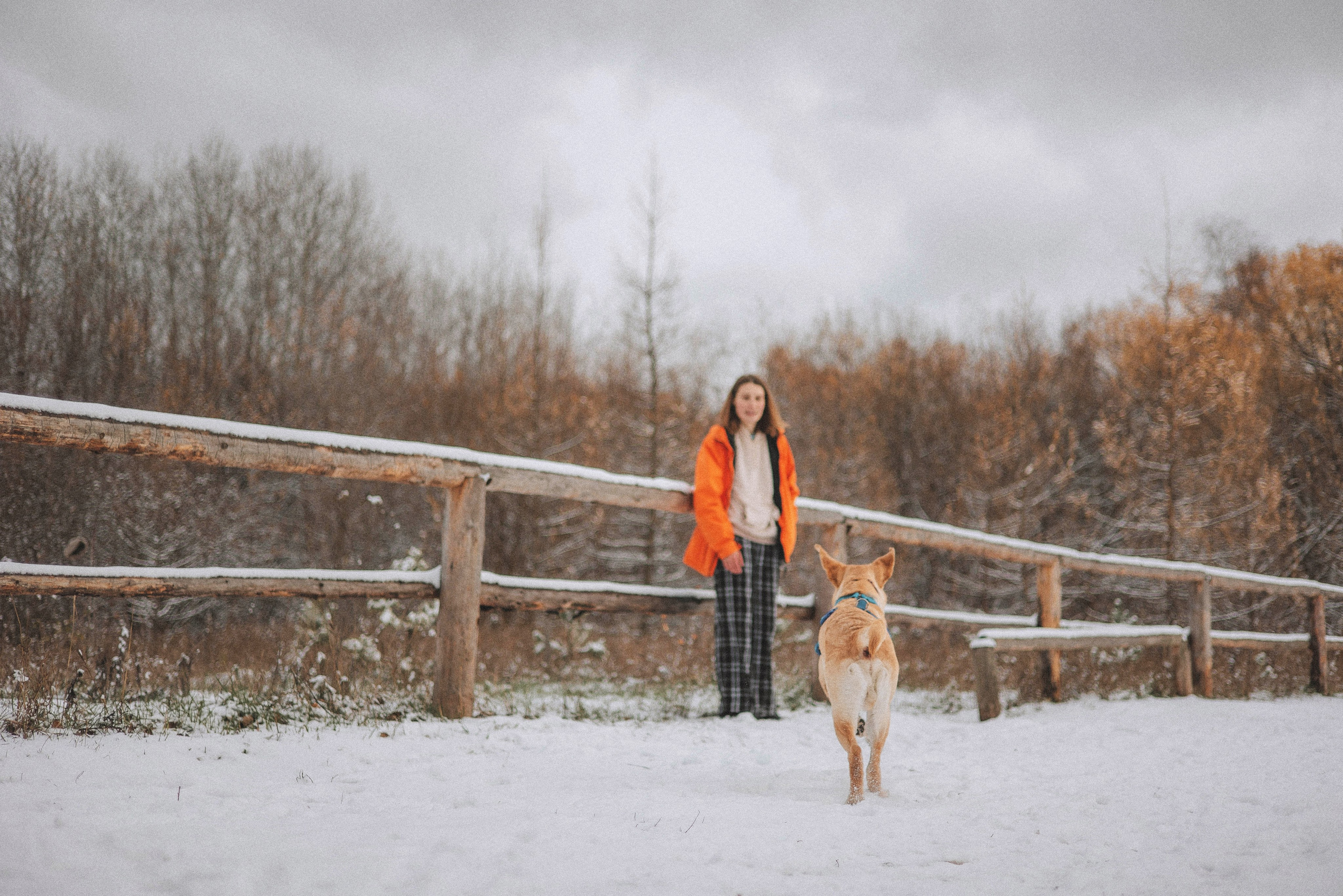 Маргарита и Варди. Фотограф-анималист Богданова Полина