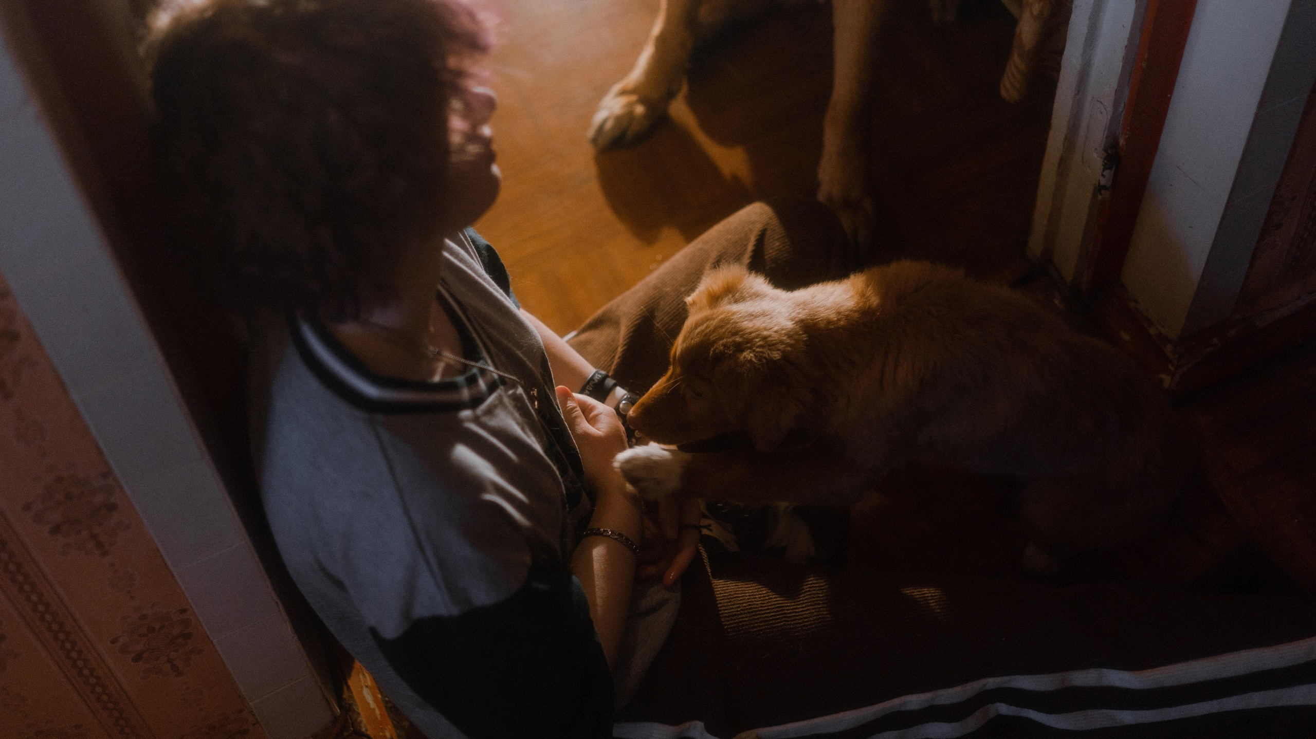 Лера, Реджи и Ральф. Фотограф-анималист Богданова Полина