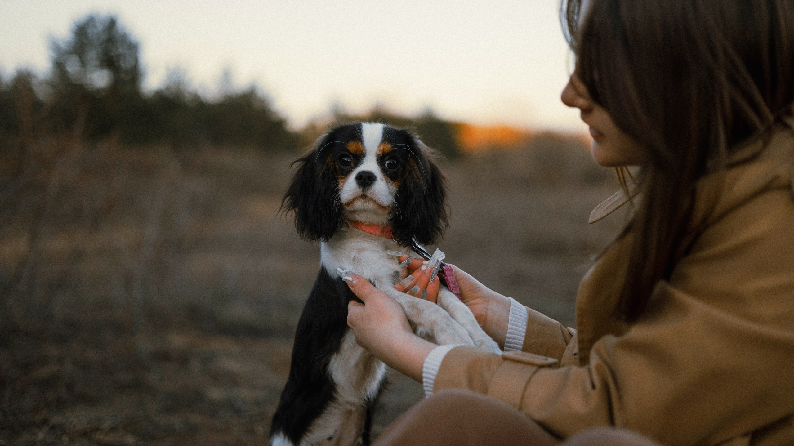 Ангелина и Йен. Фотограф-анималист Богданова Полина