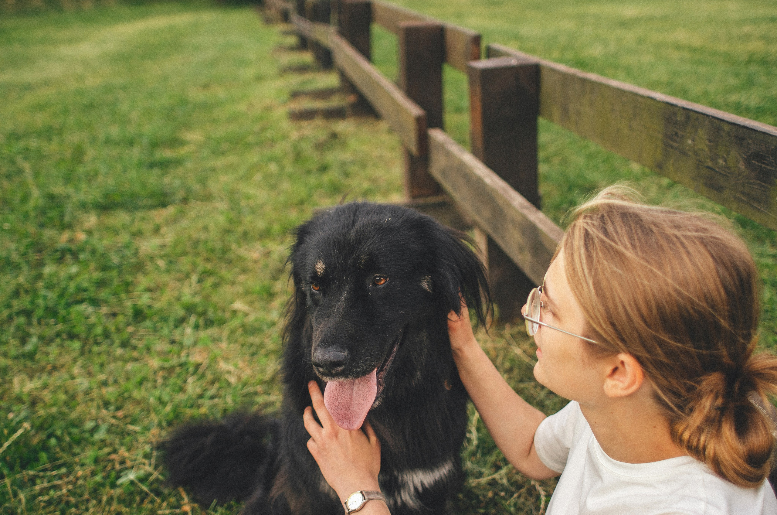 Анна и Марко. Фотограф-анималист Богданова Полина