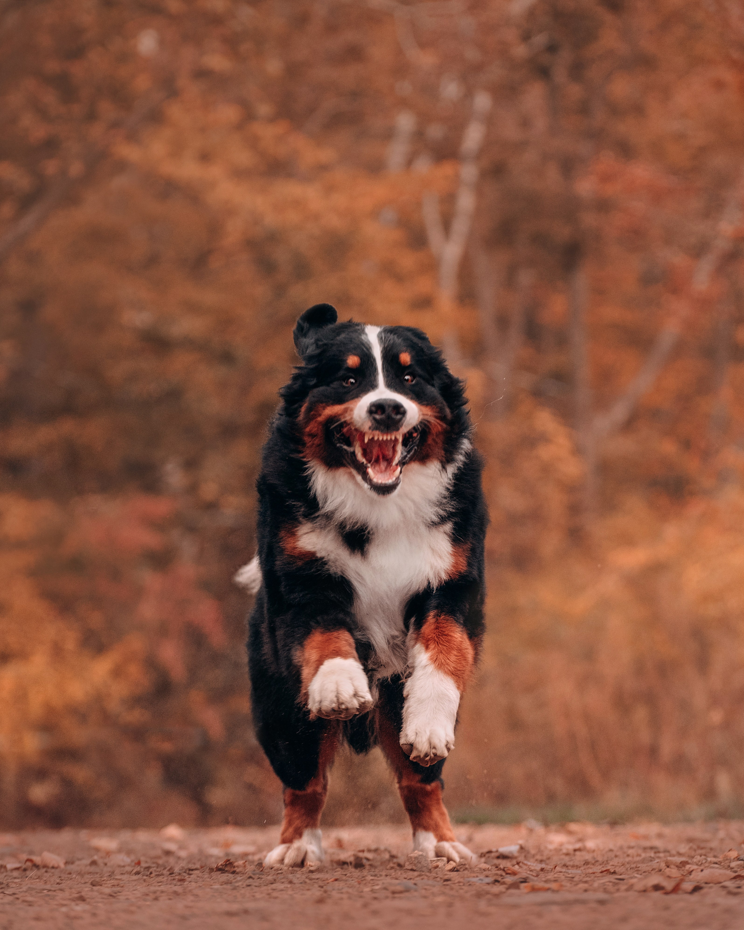 Владивосток: Марс и Маша. Портфолио