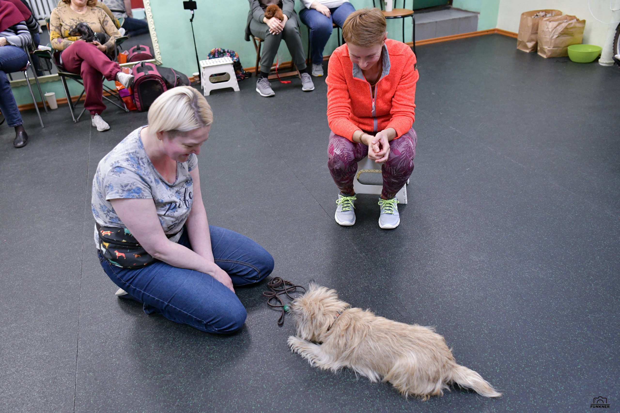 Кинологический клуб «Бодрый хвост». Свой взгляд через объектив