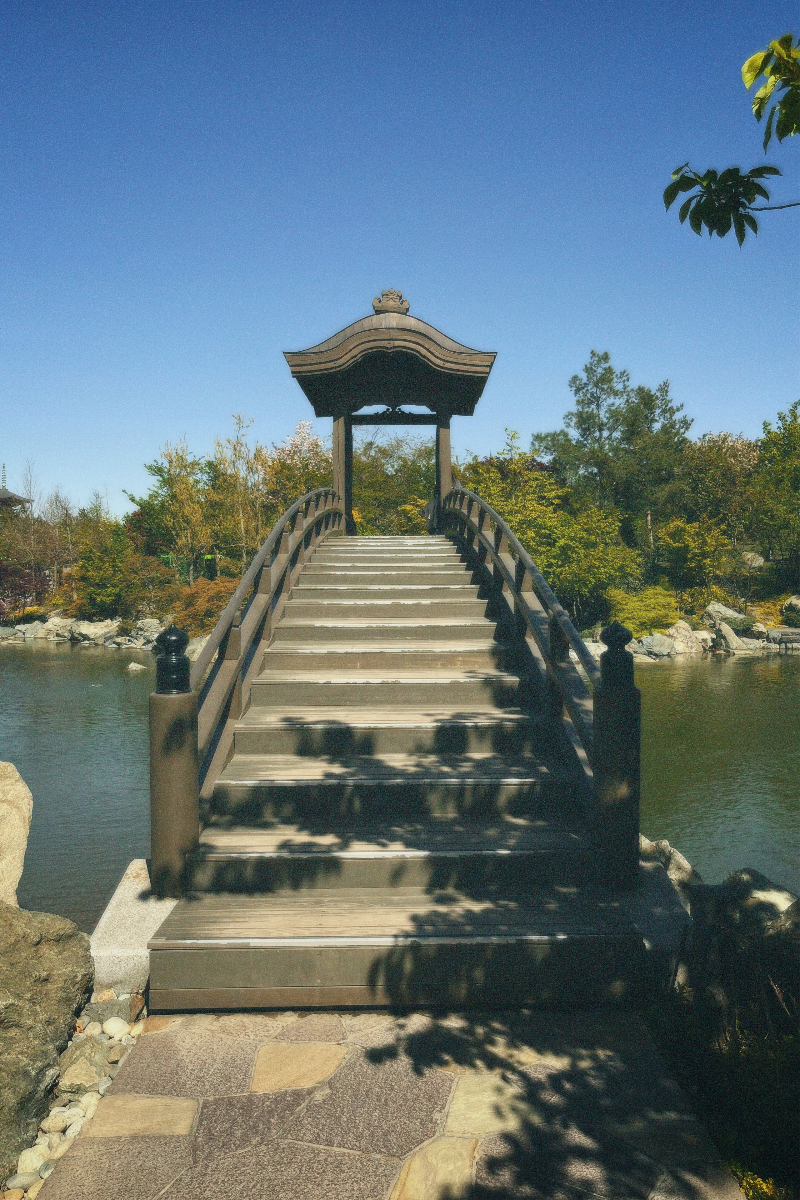 КРАСНОДАР. Портретный и лавстори фотограф в Стерлитамаке Альбина Шарт