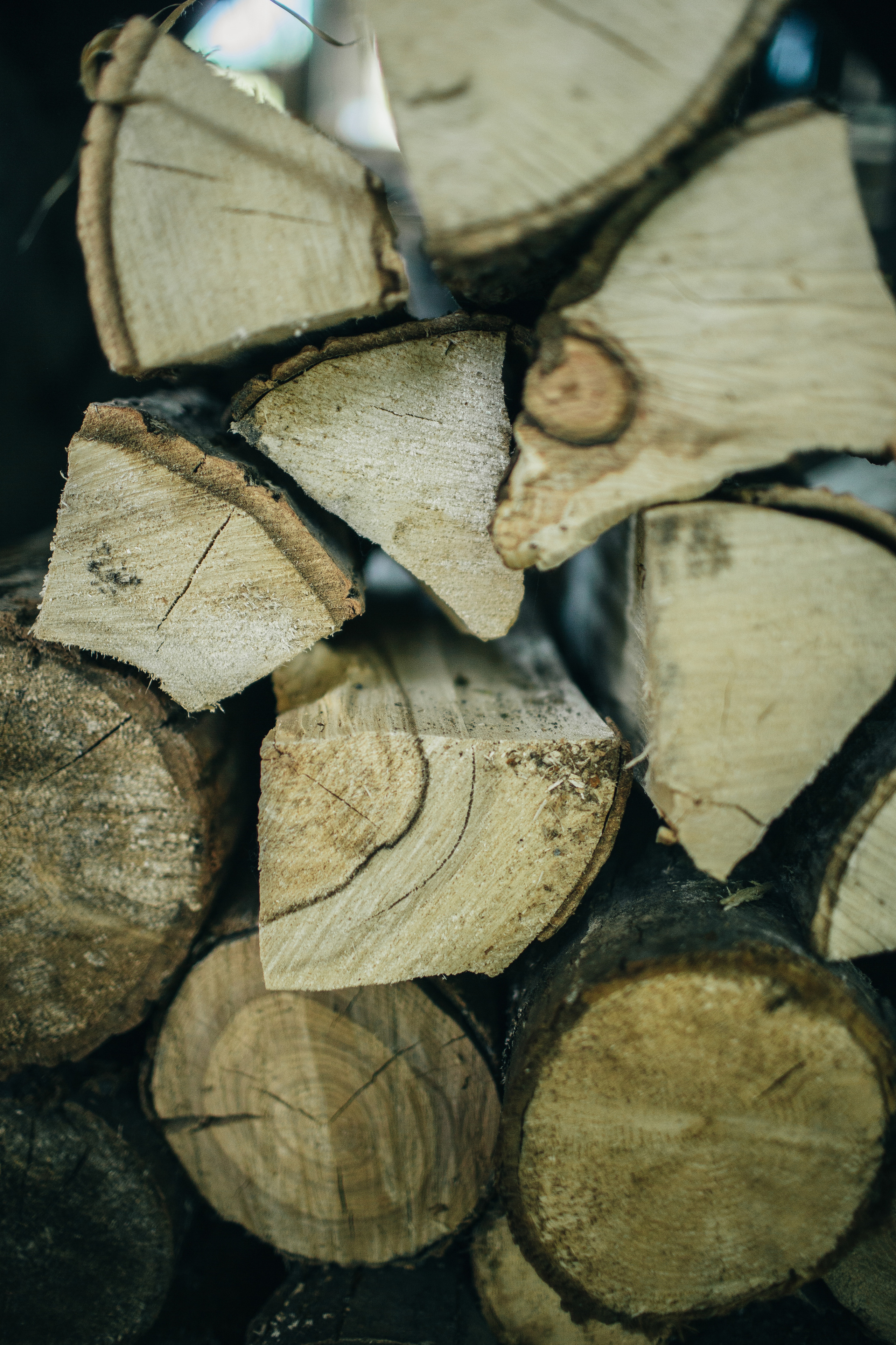 Сестра Паттерсон '22. Портфолио свадебного фотографа. Роман Каргаполов