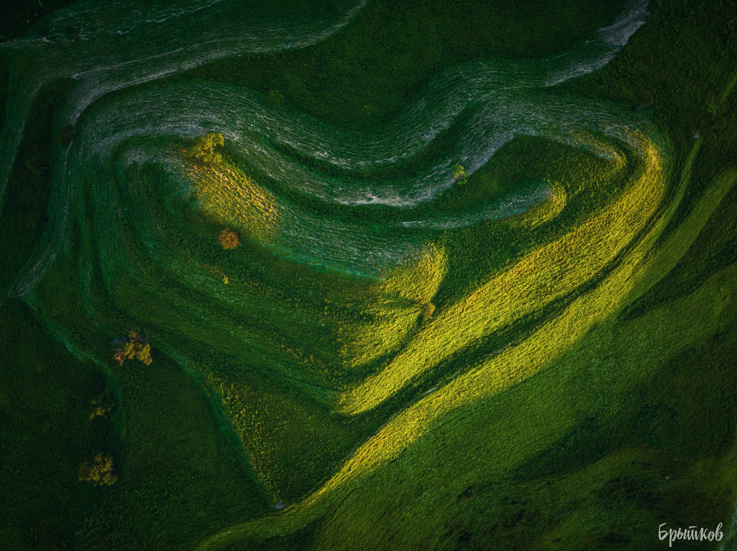 Чох. Николай Брытков — фотограф в Туле