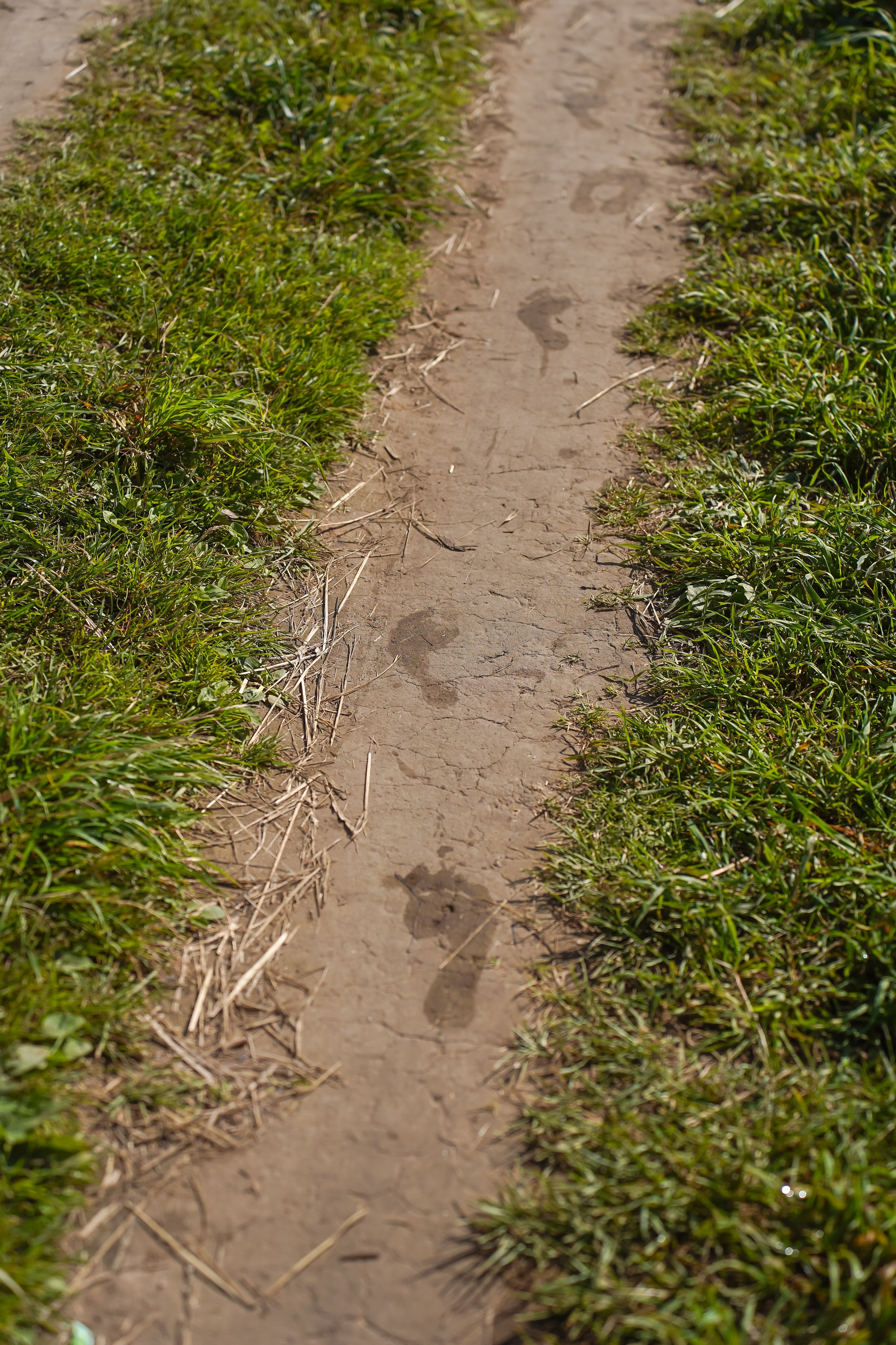 Ретрит в Звенигороде. Портретный фотограф в Москве Анастасия Шагирова