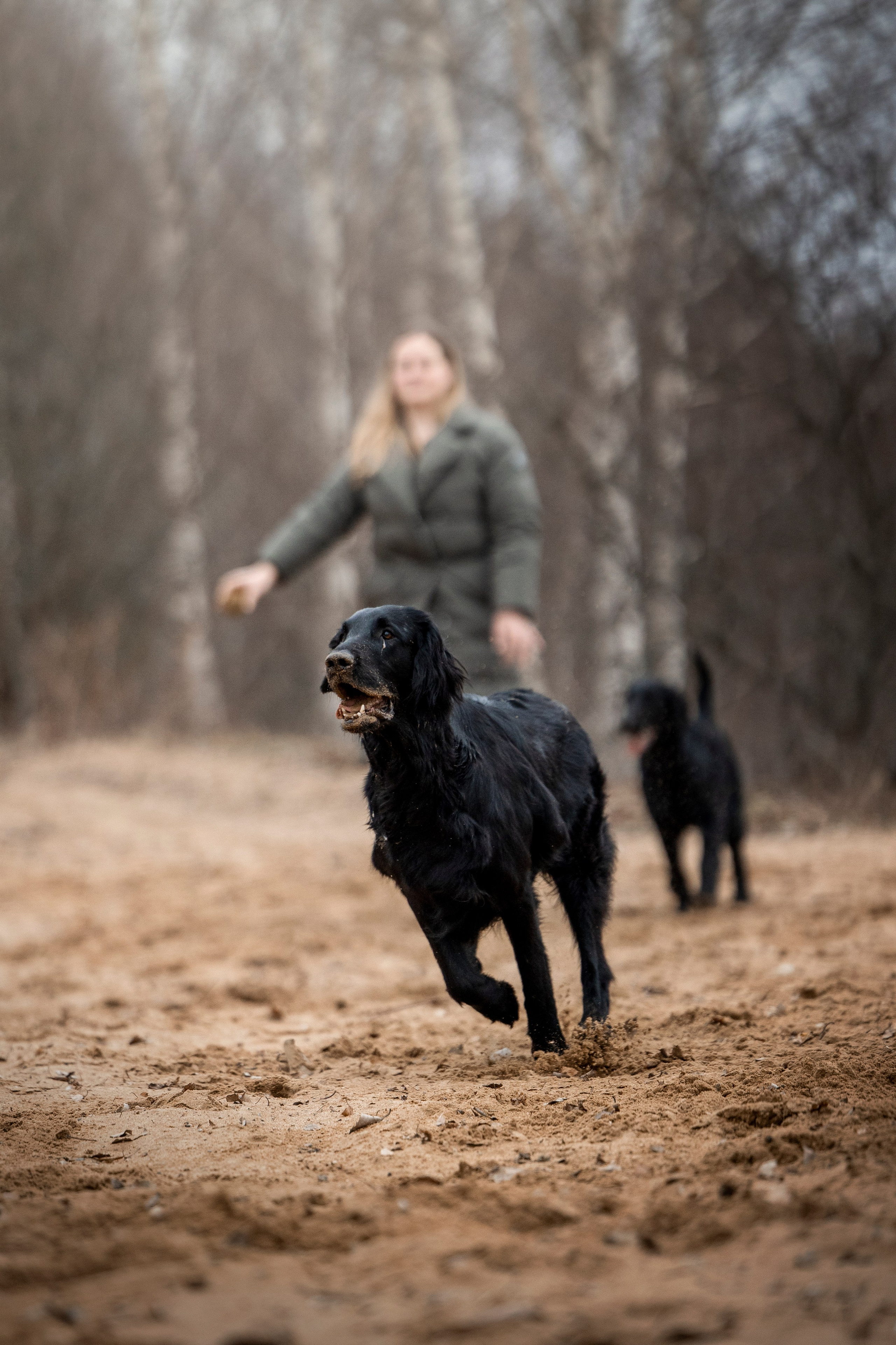 Ора, Ева, Рози и их семья. Фотограф — Анималист | Санкт-Петербург