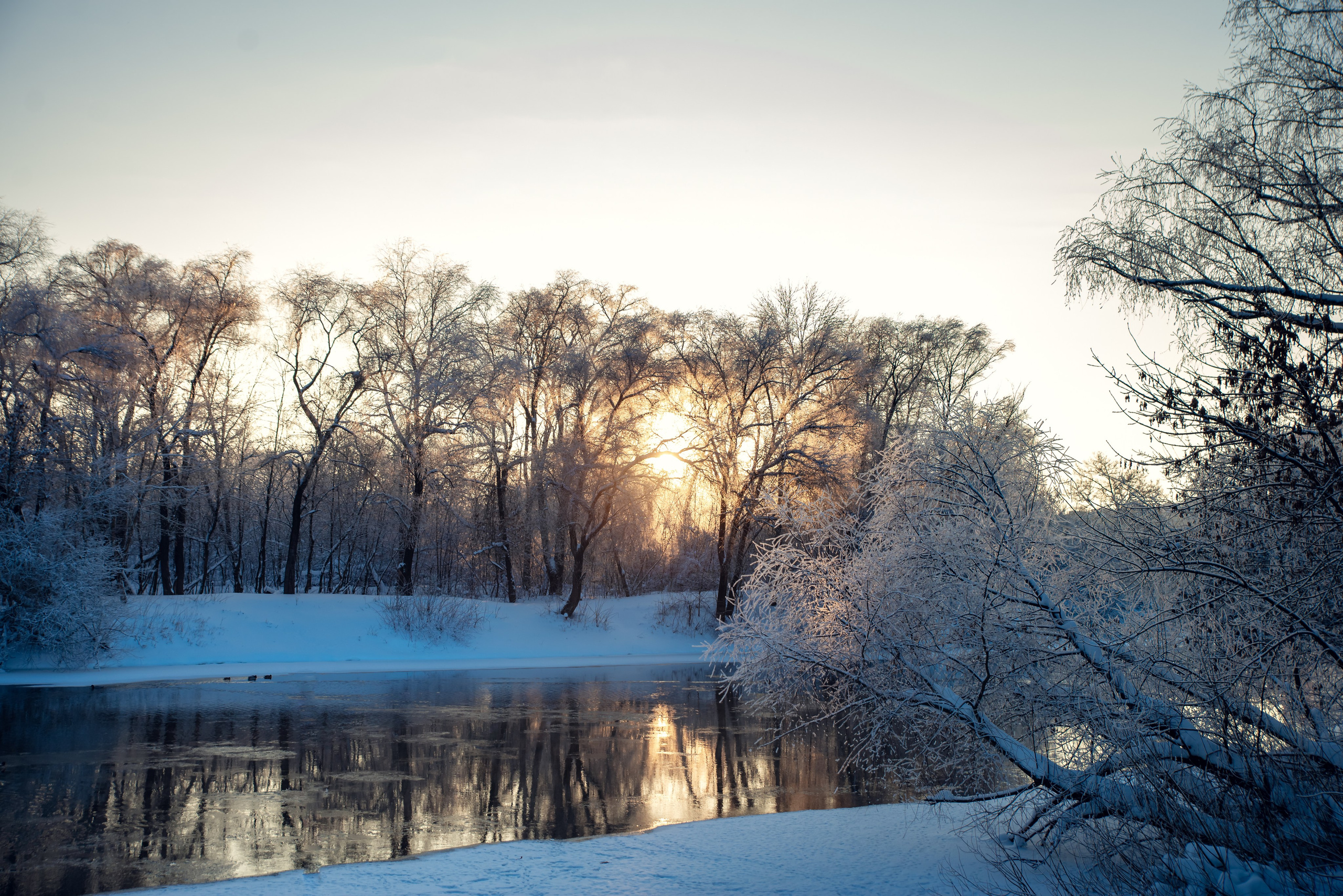 Зимушка зима. Фотограф Крещение Венчание Москва