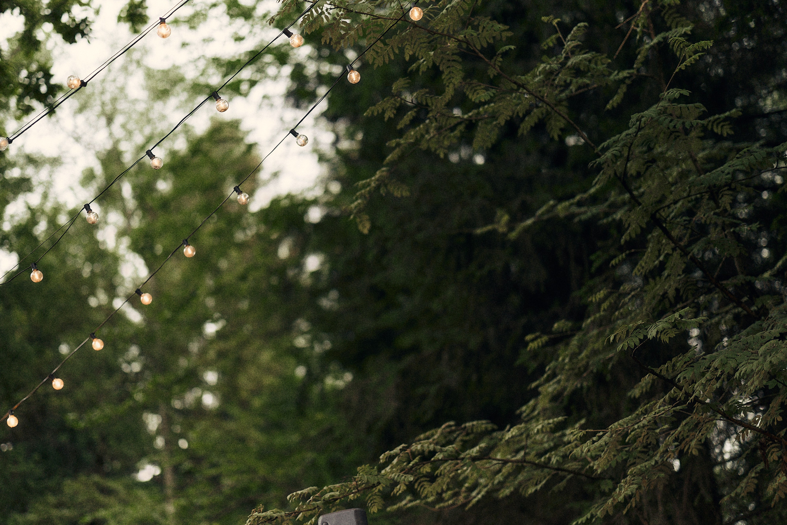 Анастасия и Влад. Свадебный и семейный фотограф в Иваново и Москве Мильков Вадим