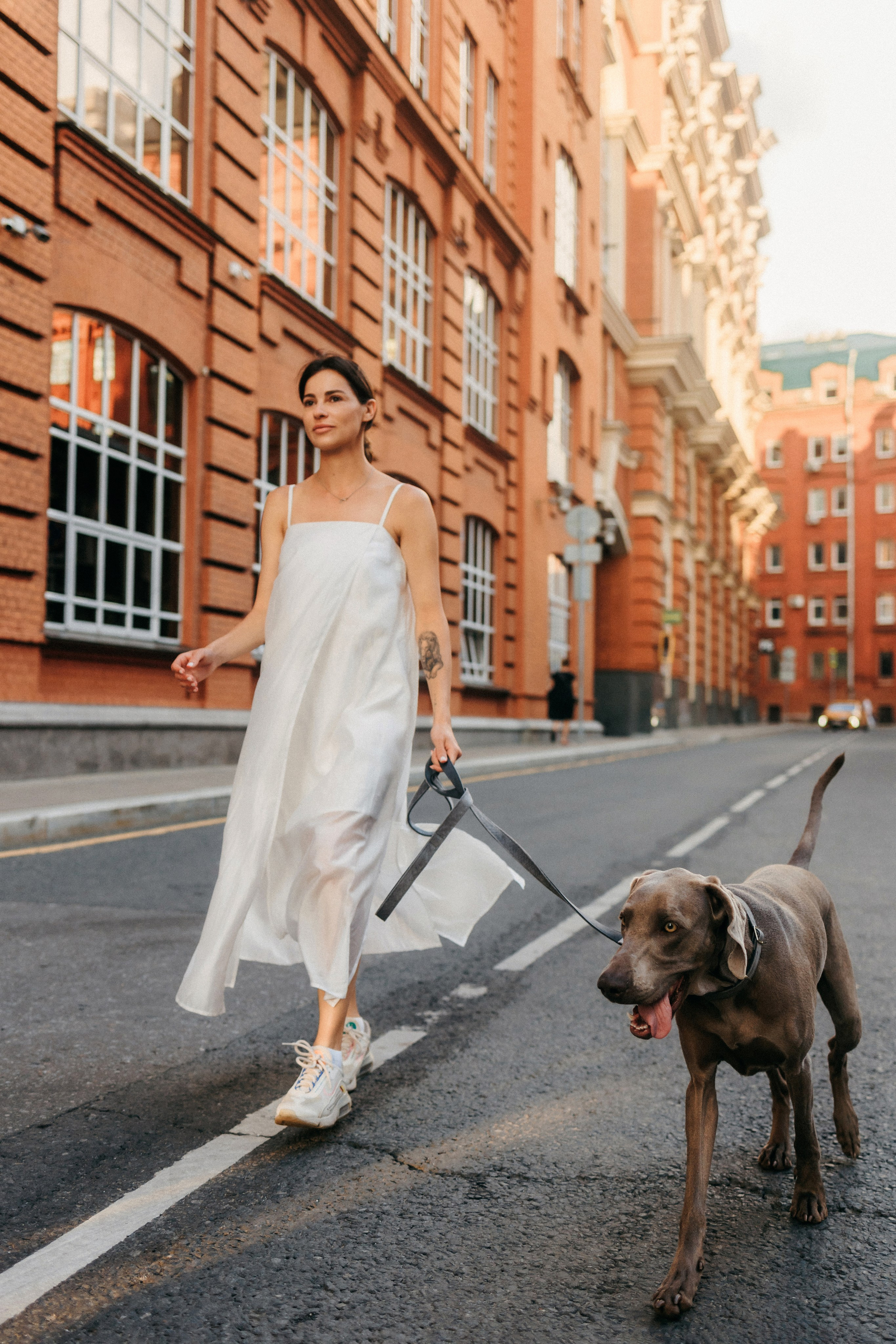 Соня и Майли. Фотограф-анималист Елена Радченко, Москва