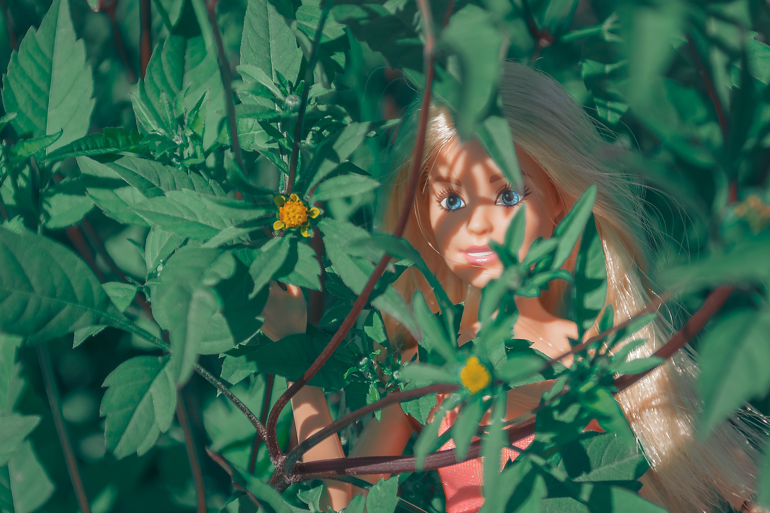 Играй Свою Игру. Аmat Victoria Сuram