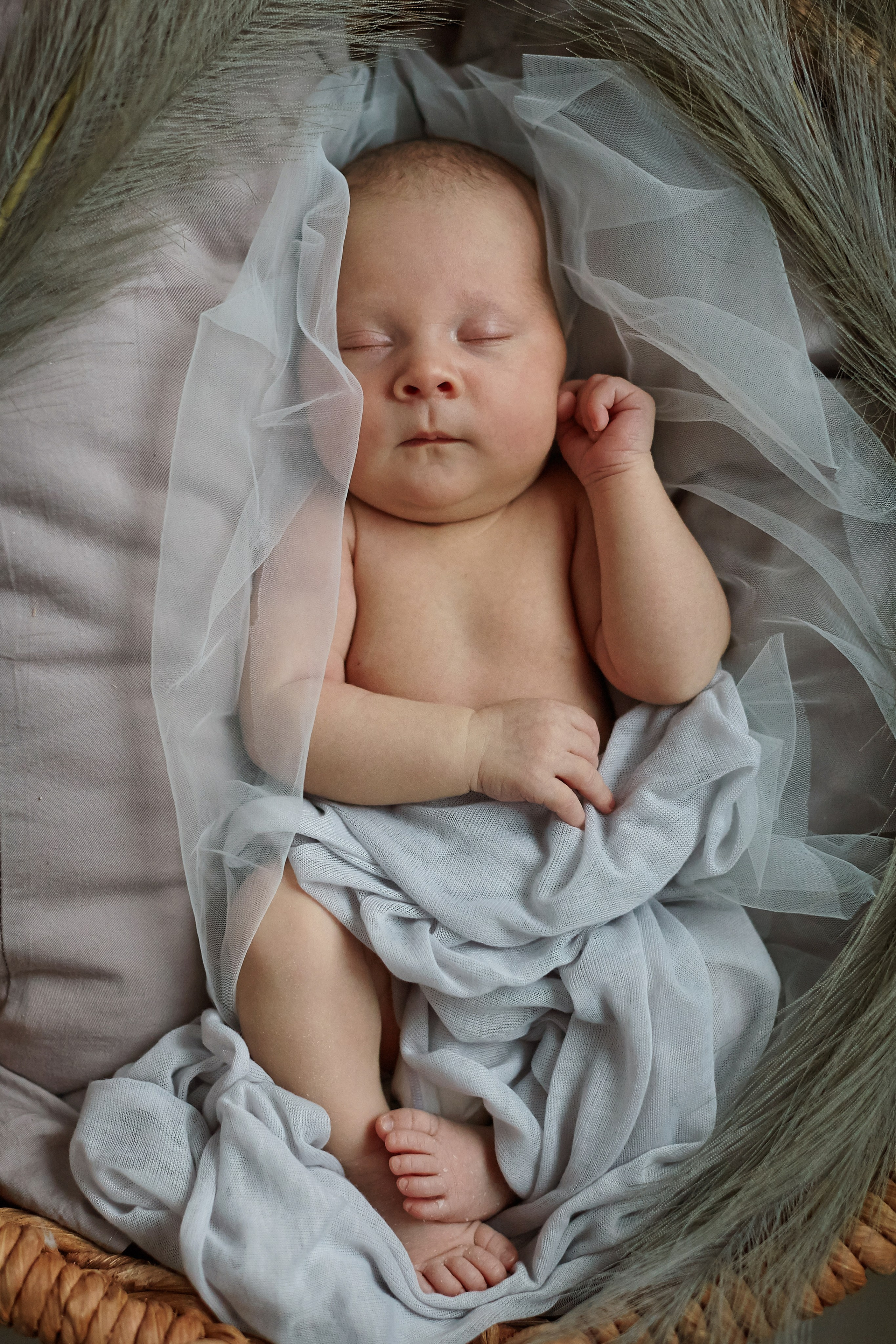 Есения. Фотограф Ольга Ефремова