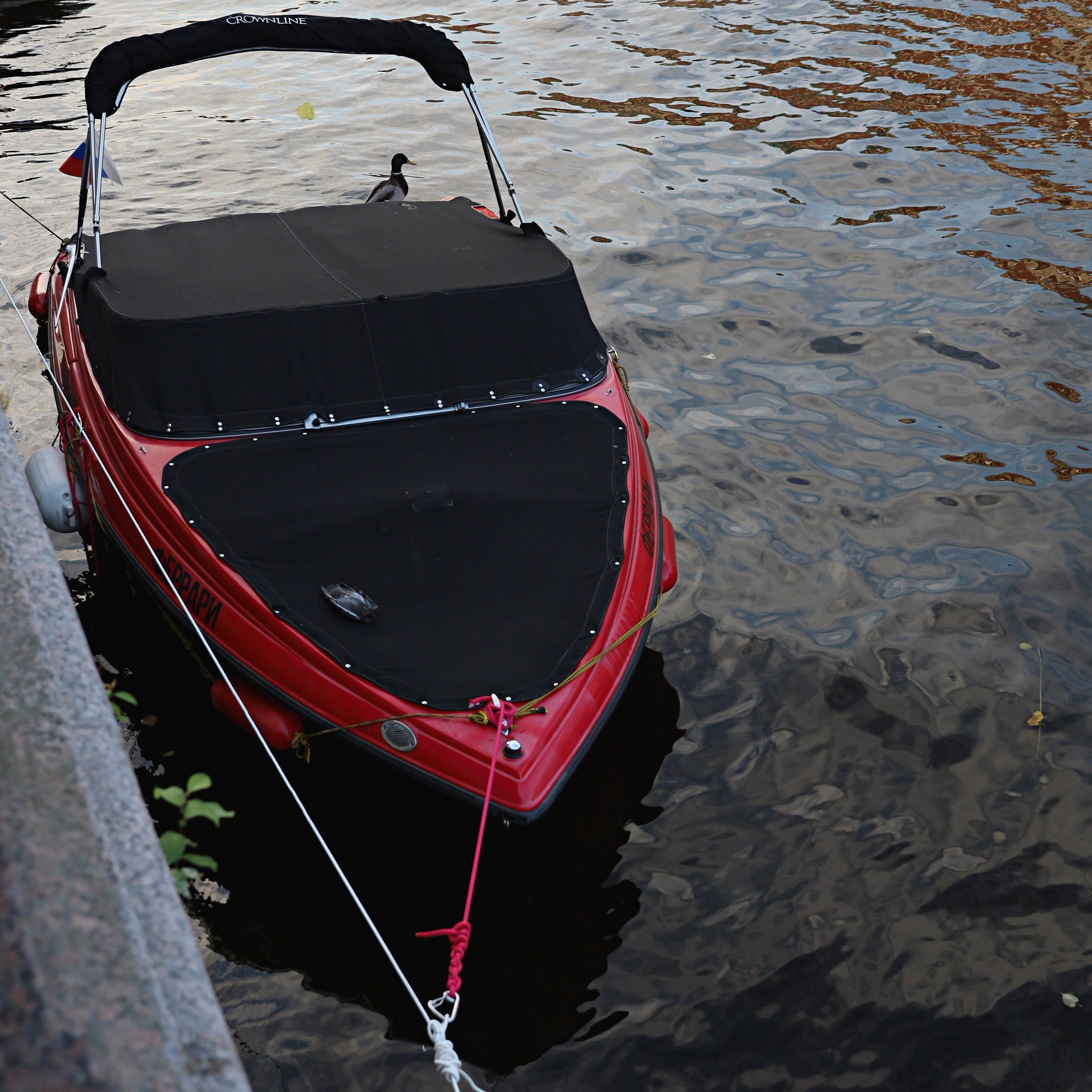 ROSENROT. СПБНЛО