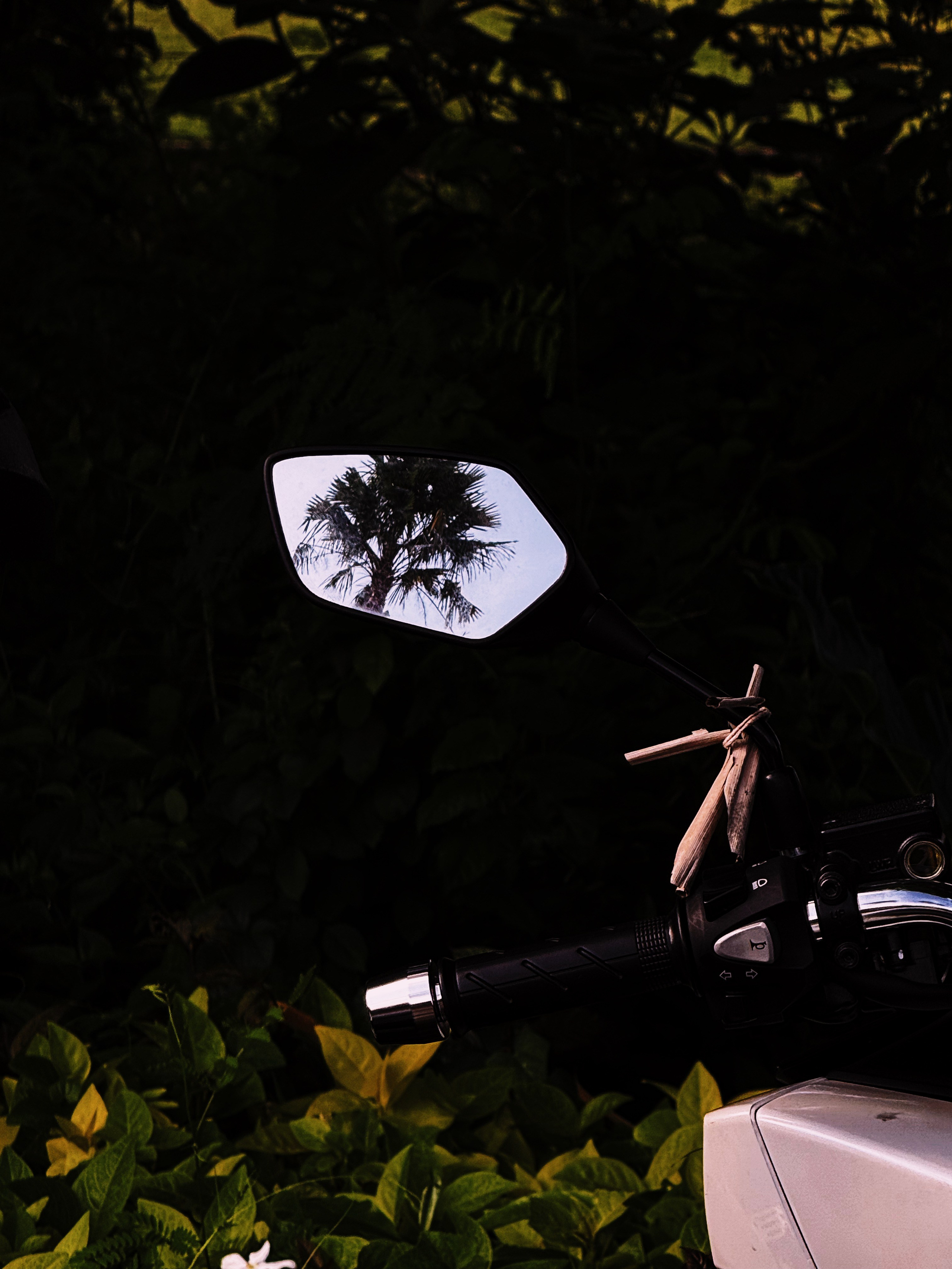 Elements. Carolinetru