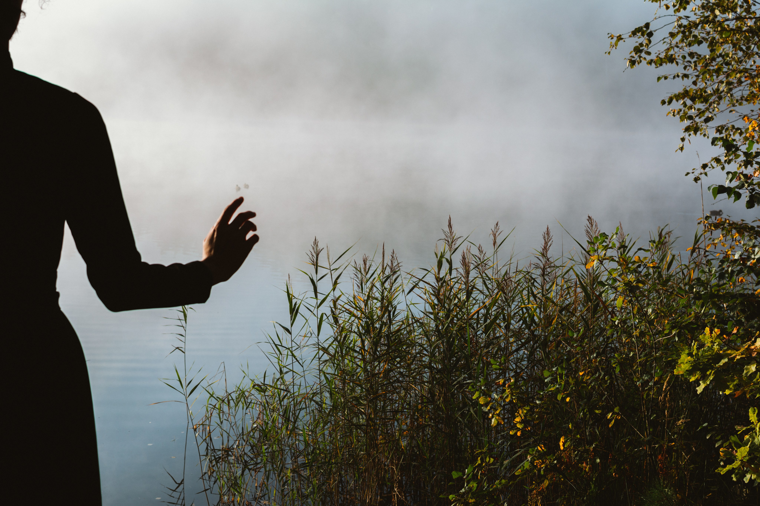 Портретный и репортажный Фотограф в Москве Александра Комарницкая