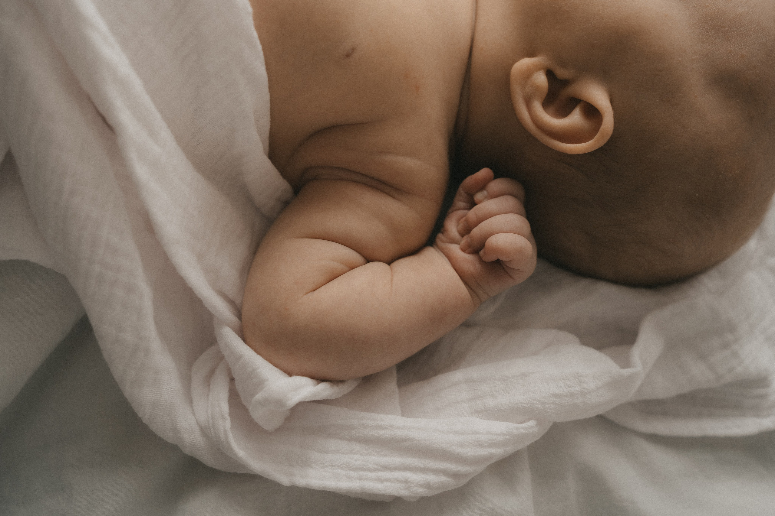 Семейная история. Семейный, портретный фотограф Новосибирск. Оля Адова