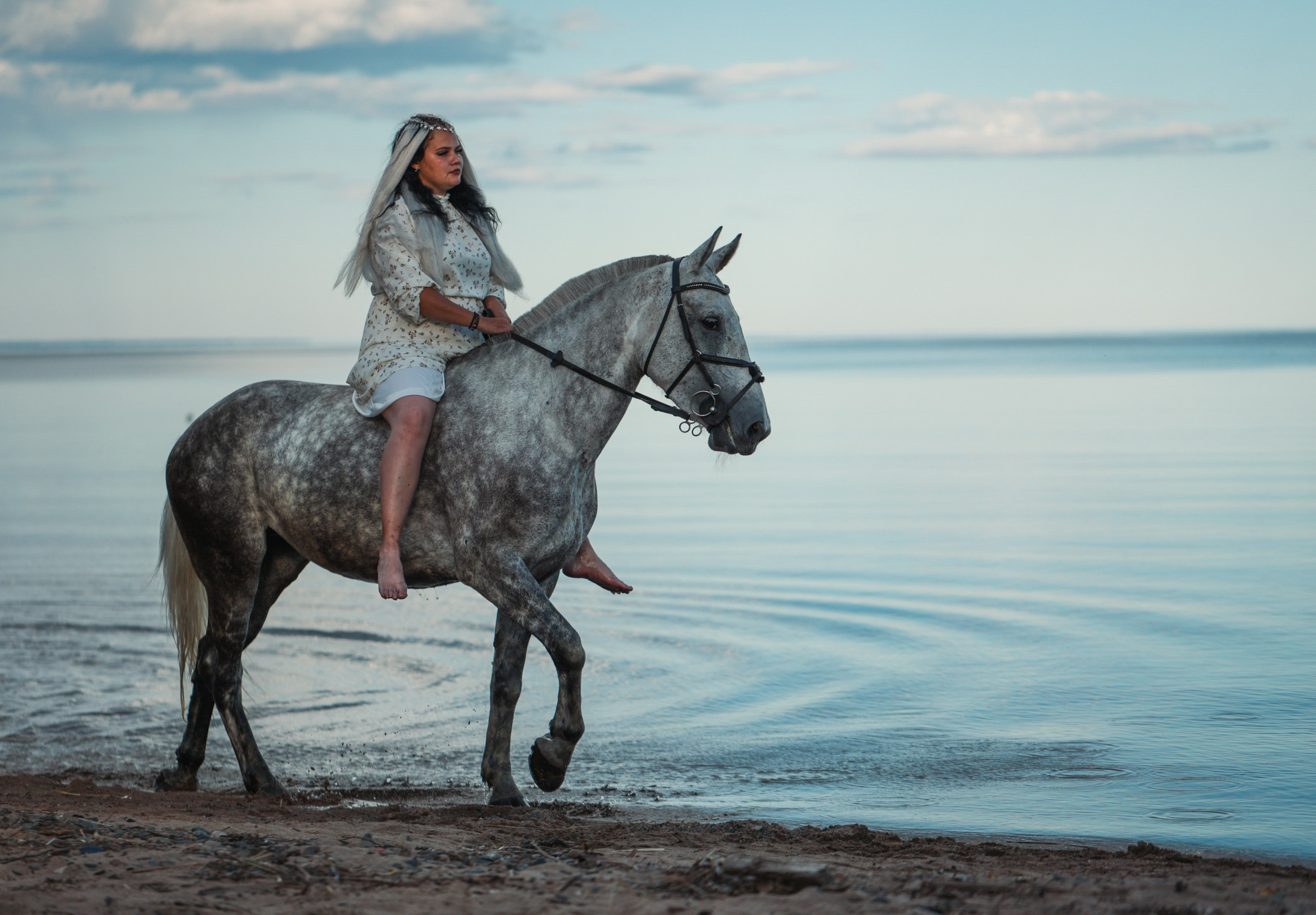Аренда лошадей для фотосессии в Петрозаводске. Фотограф Варвара Ермоленко