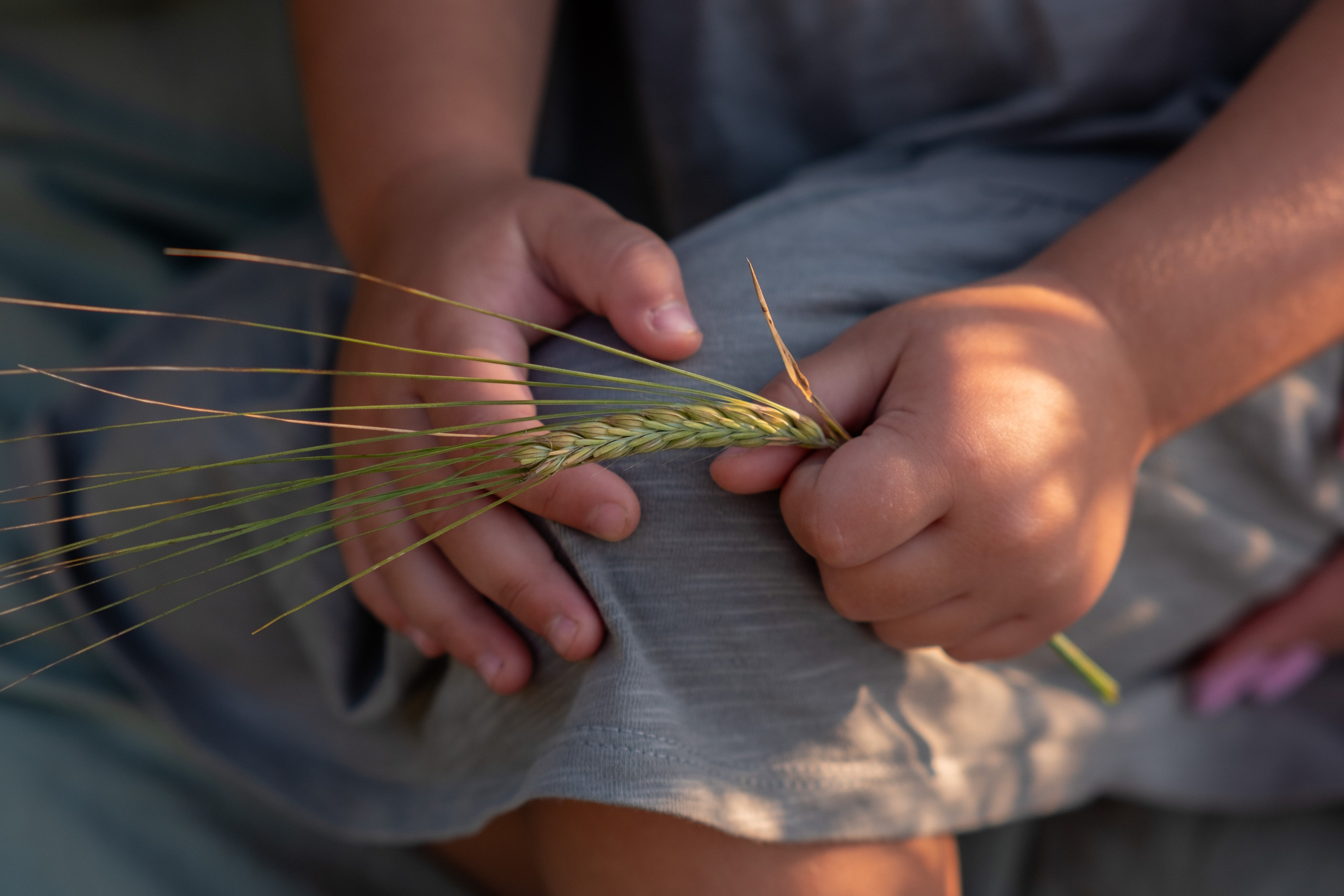 Портфолио. Художественный фотограф в Екатеринбурге Екатерина Финк