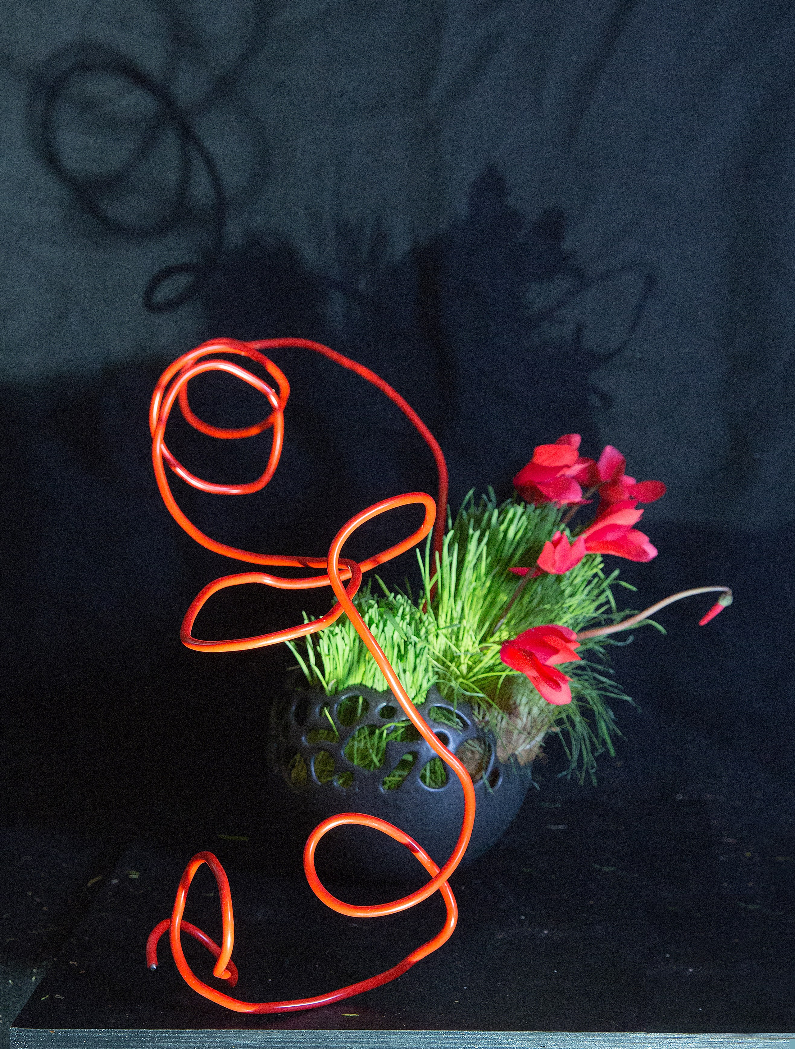 Икэбана Барне. Фотограф Анна Барне